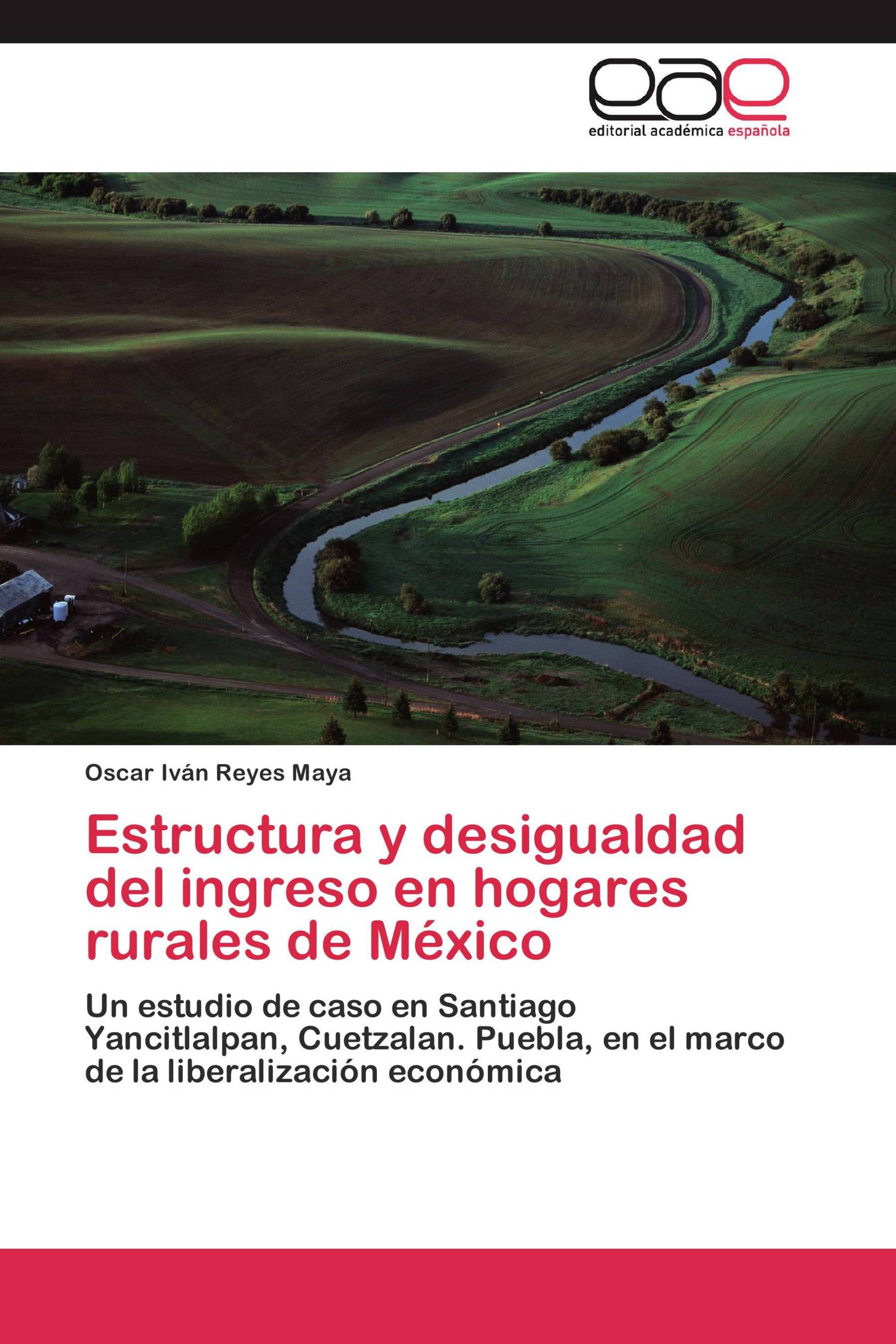 Estructura y desigualdad del ingreso en hogares rurales de México