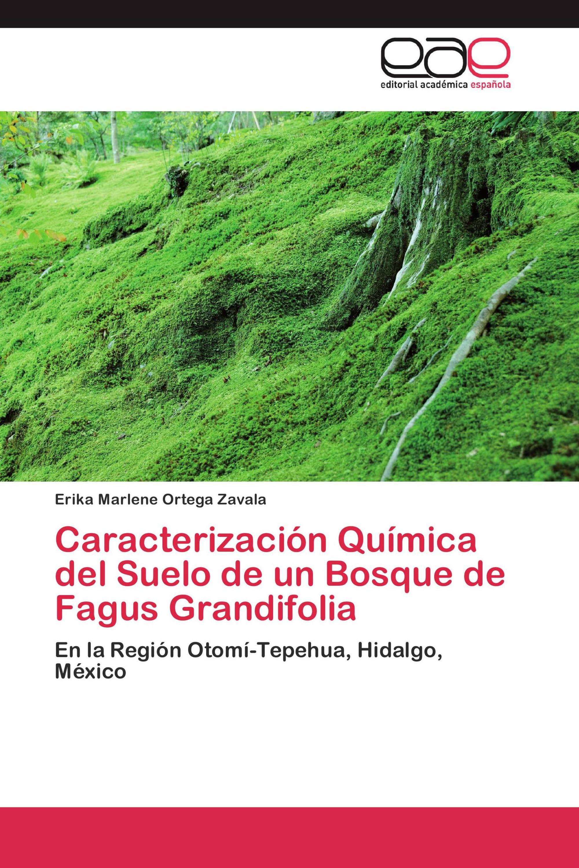 Caracterización Química del Suelo de un Bosque de Fagus Grandifolia