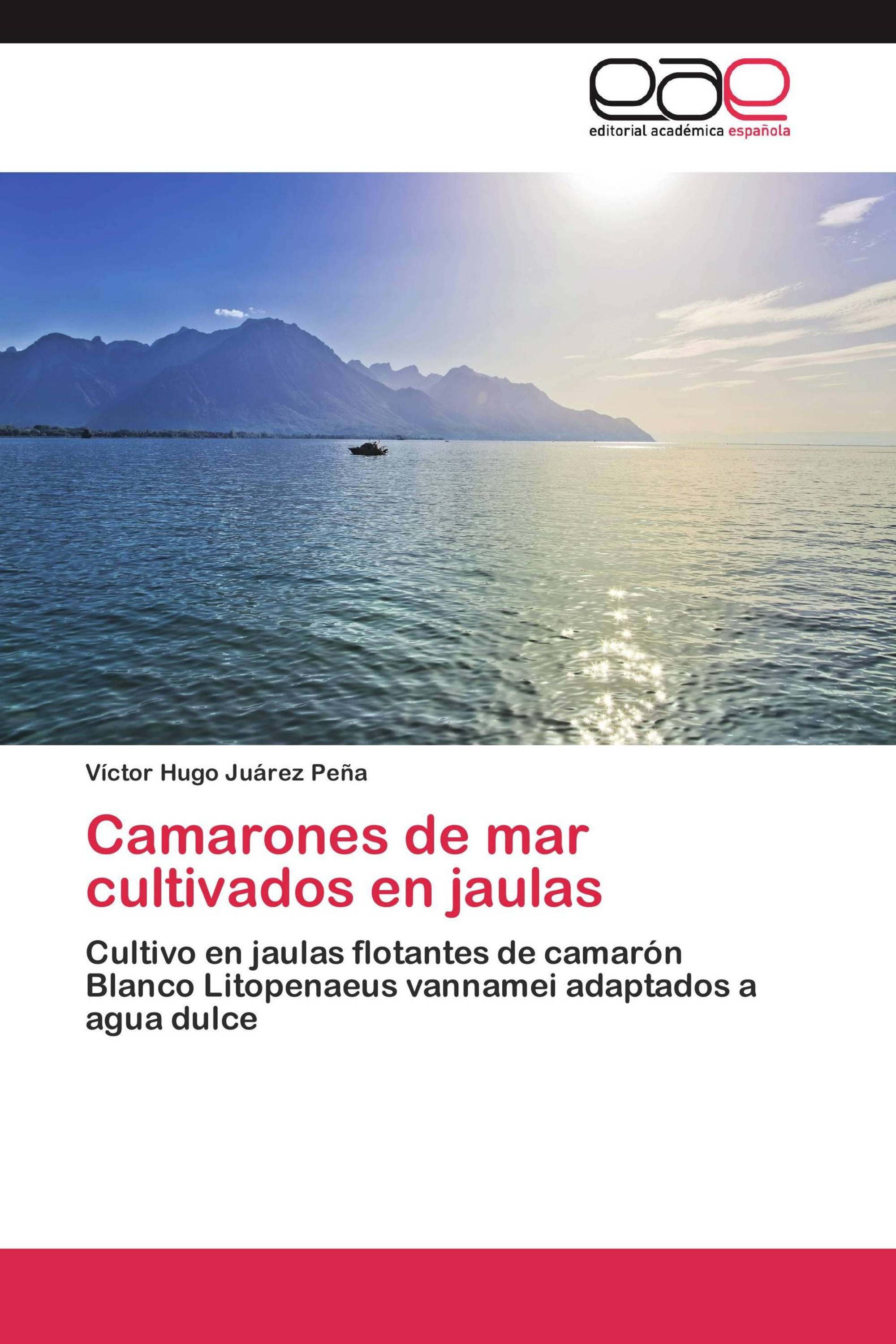 Camarones de mar cultivados en jaulas