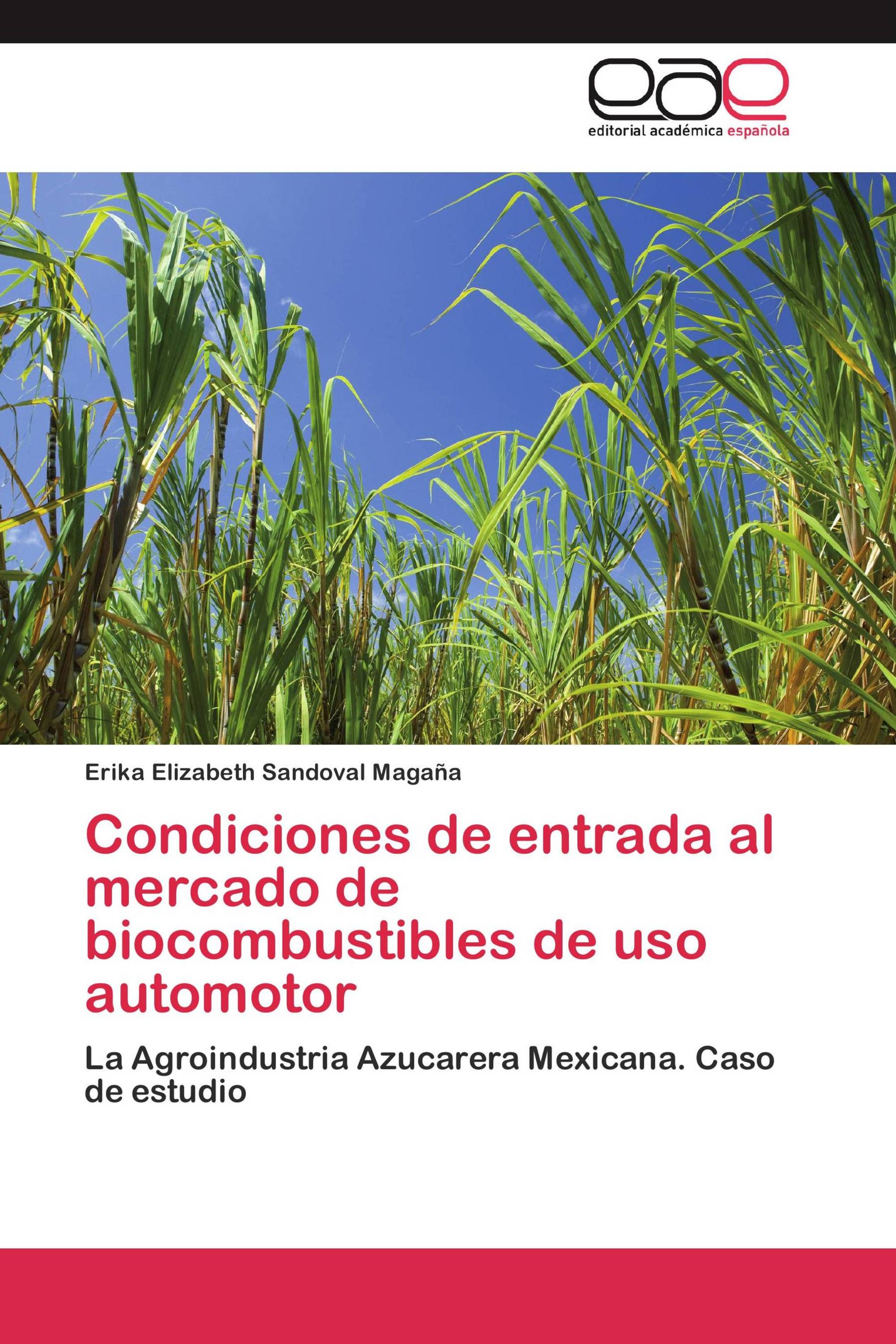 Condiciones de entrada al mercado de biocombustibles de uso automotor