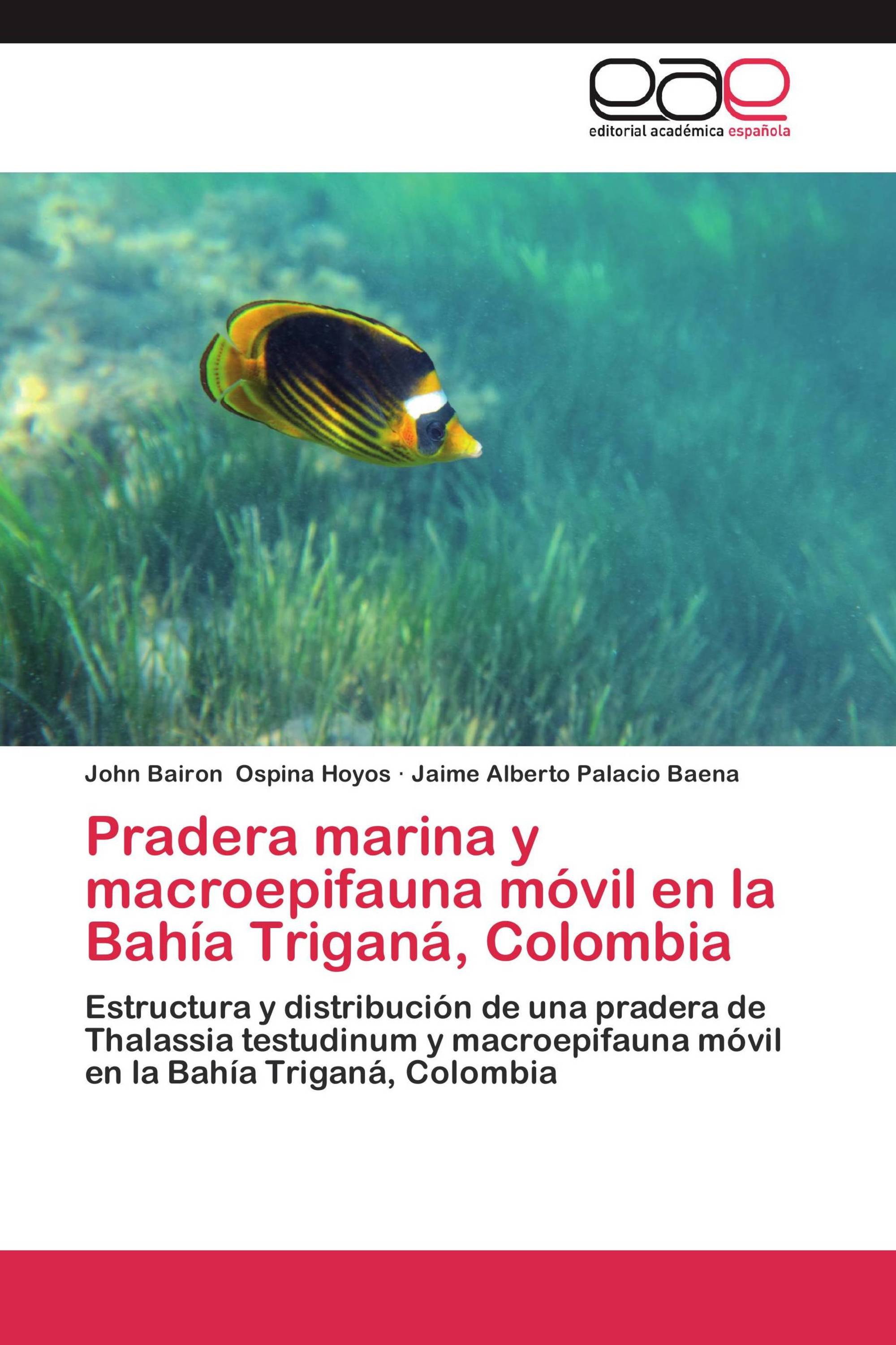 Pradera marina y macroepifauna móvil en la Bahía Triganá, Colombia