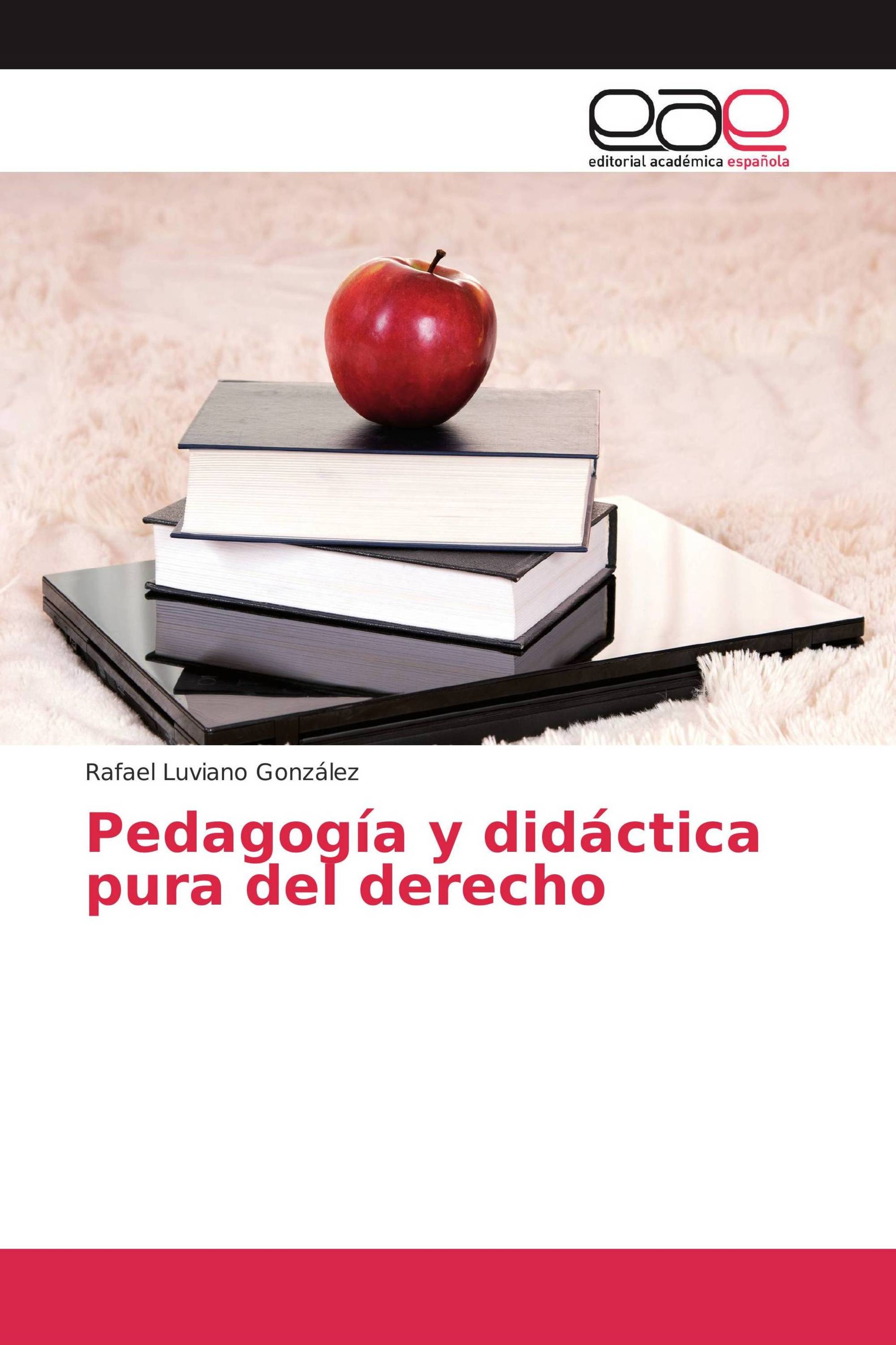 Pedagogía y didáctica pura del derecho