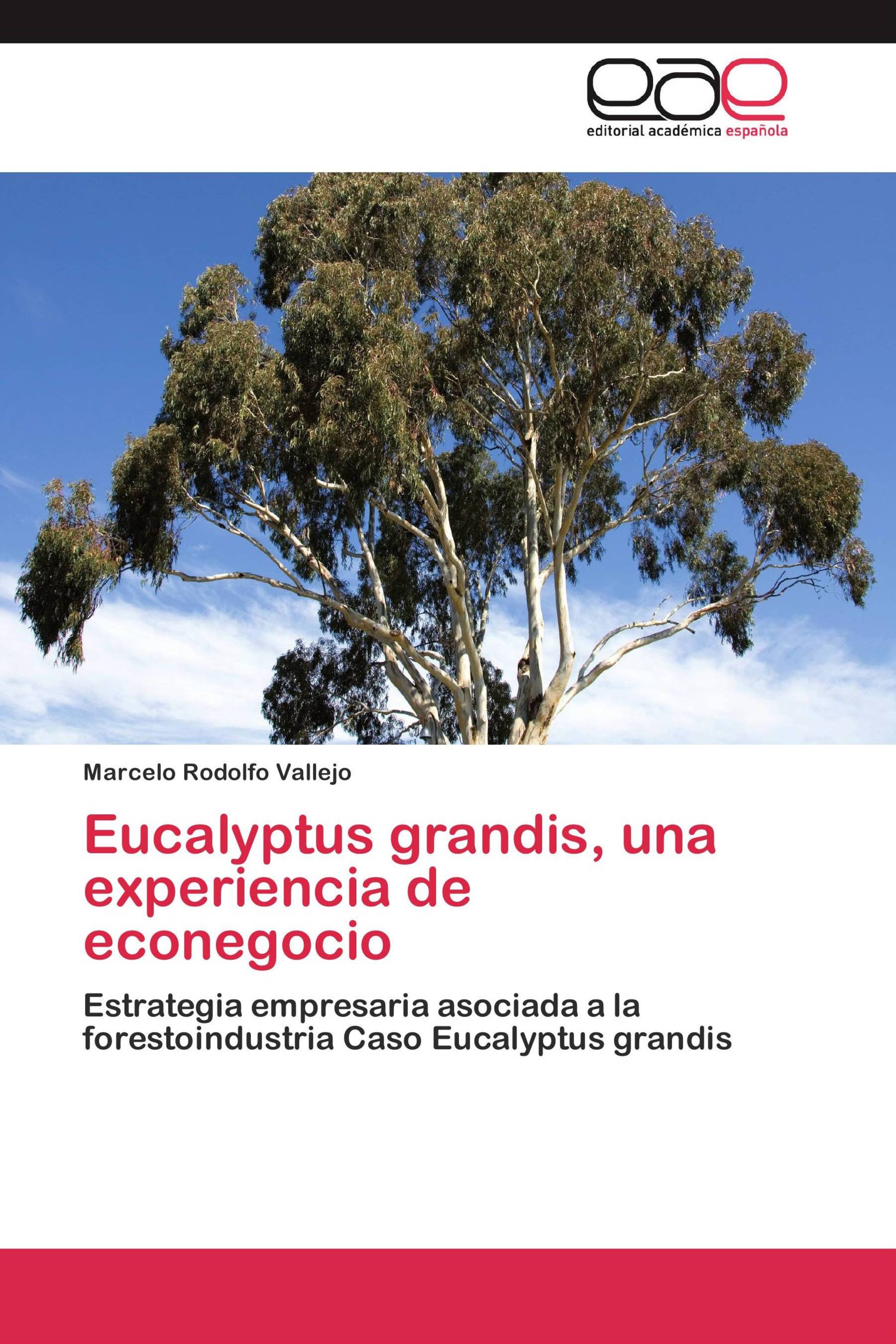 Eucalyptus grandis, una experiencia de econegocio