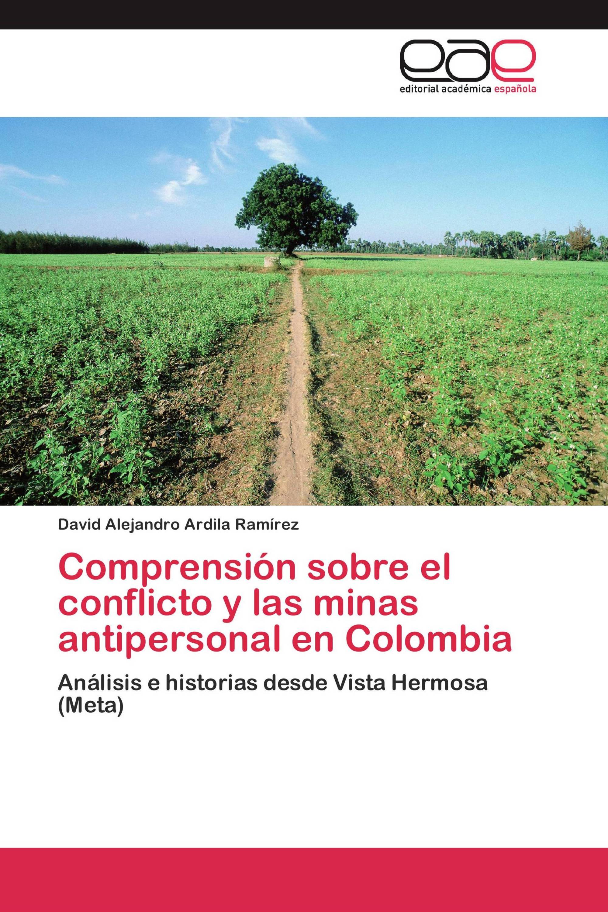 Comprensión sobre el conflicto y las minas antipersonal en Colombia