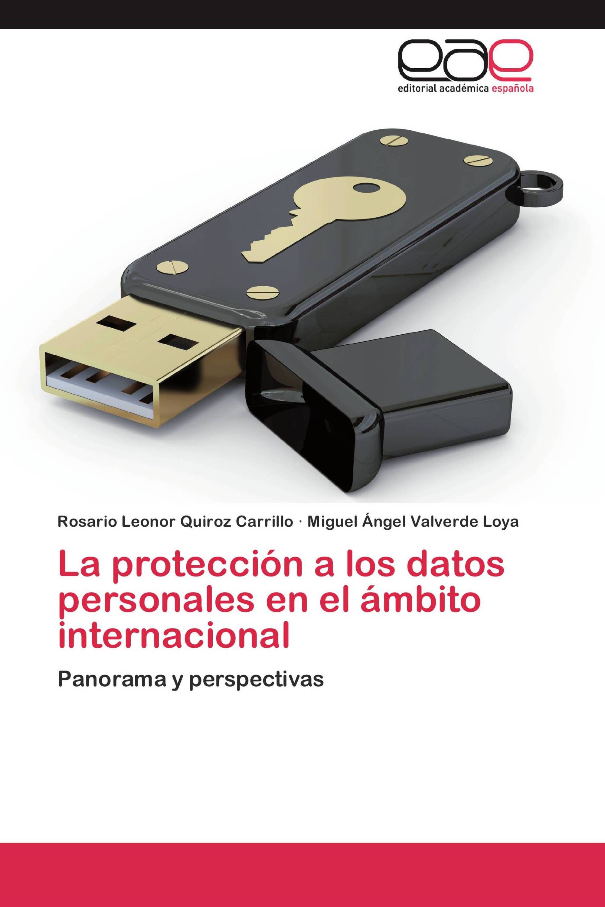 La protección a los datos personales en el ámbito internacional