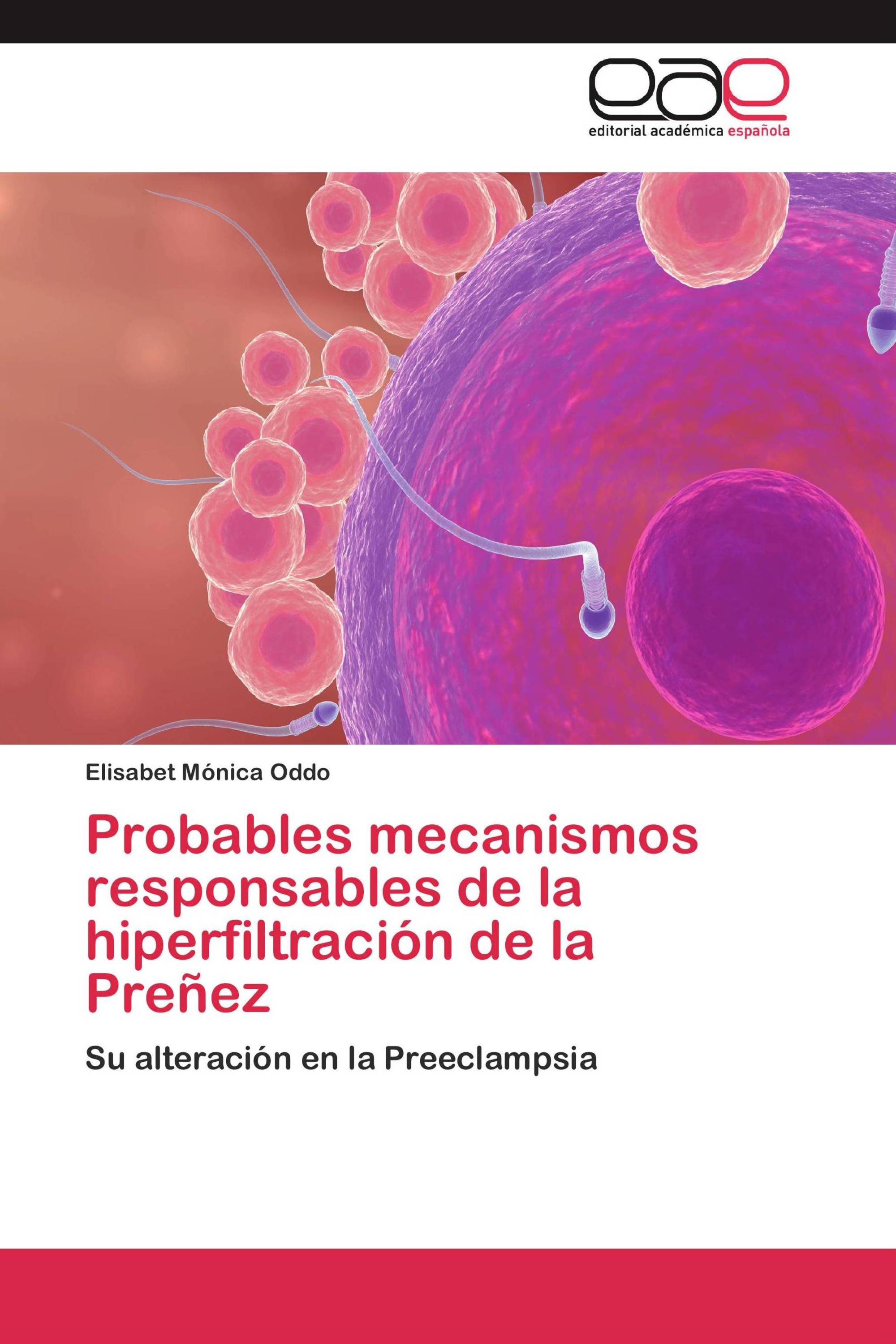 Probables mecanismos responsables de la hiperfiltración de la Preñez