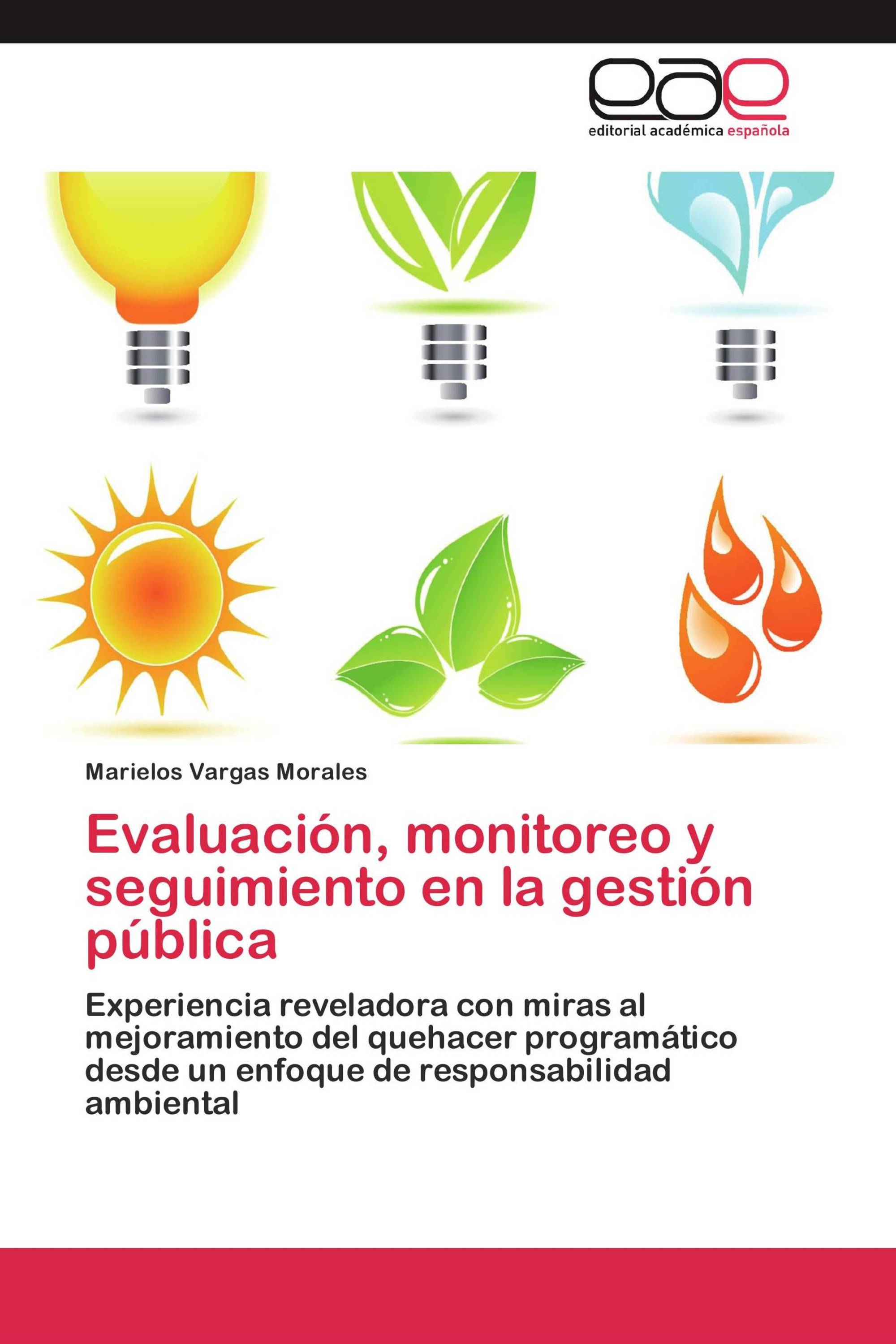 Evaluación, monitoreo y seguimiento en la gestión pública