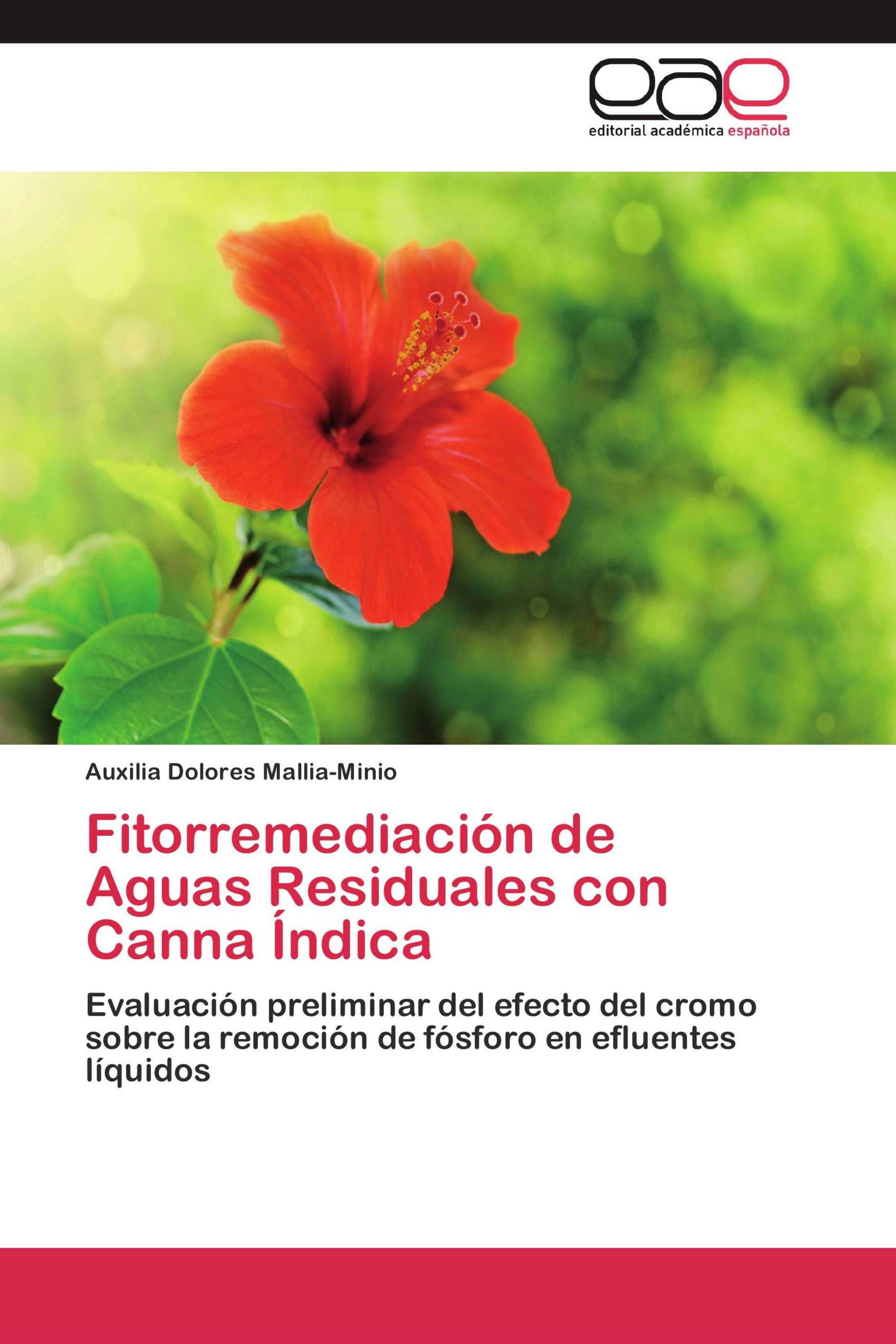 Fitorremediación de Aguas Residuales con Canna Índica