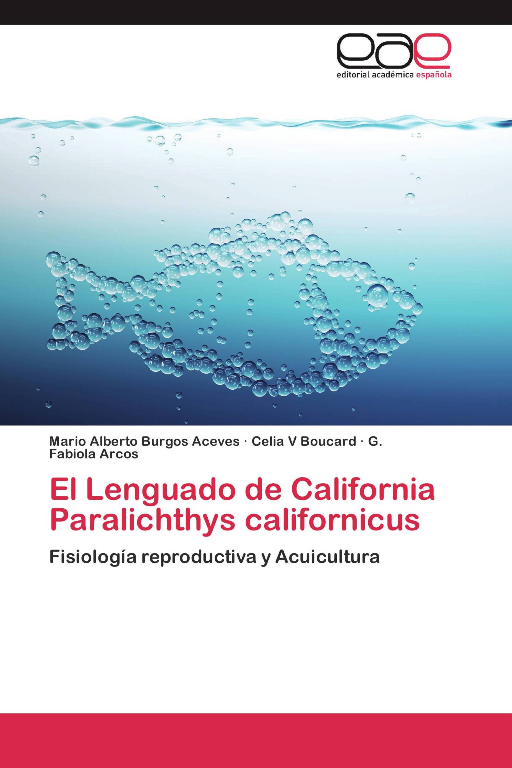 El Lenguado de California Paralichthys californicus