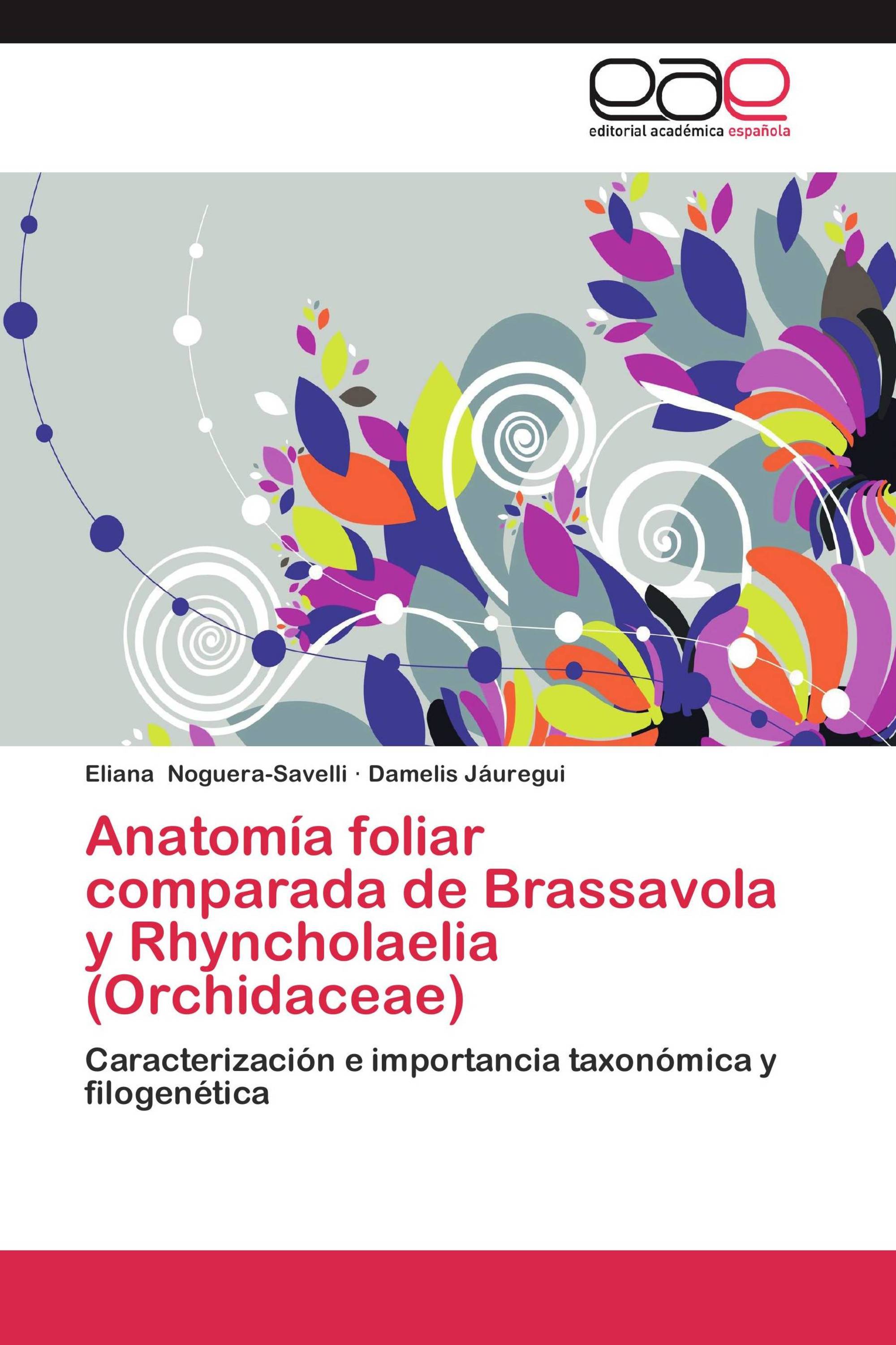 Anatomía foliar comparada de Brassavola y Rhyncholaelia (Orchidaceae)