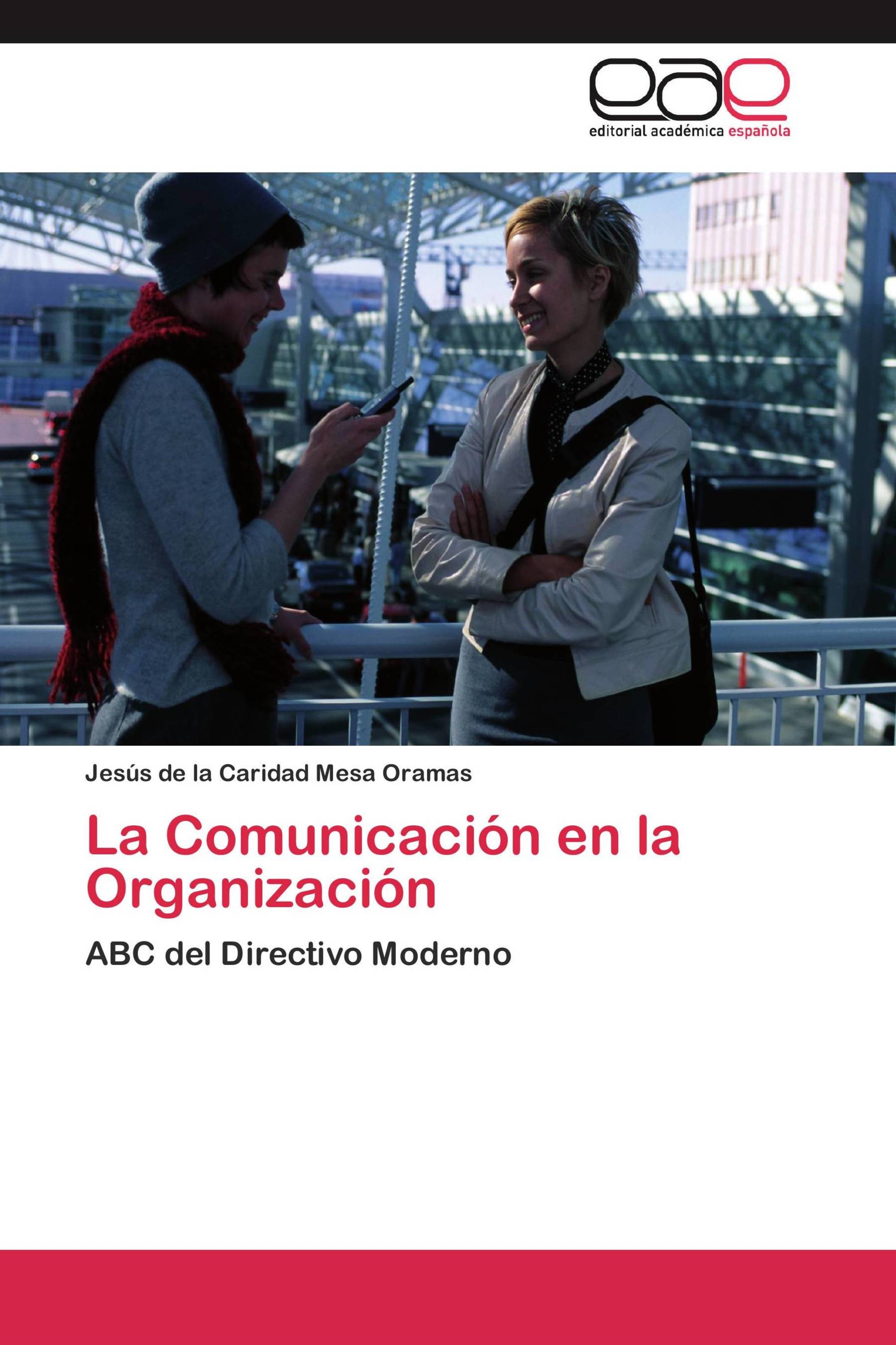 La Comunicación en la Organización