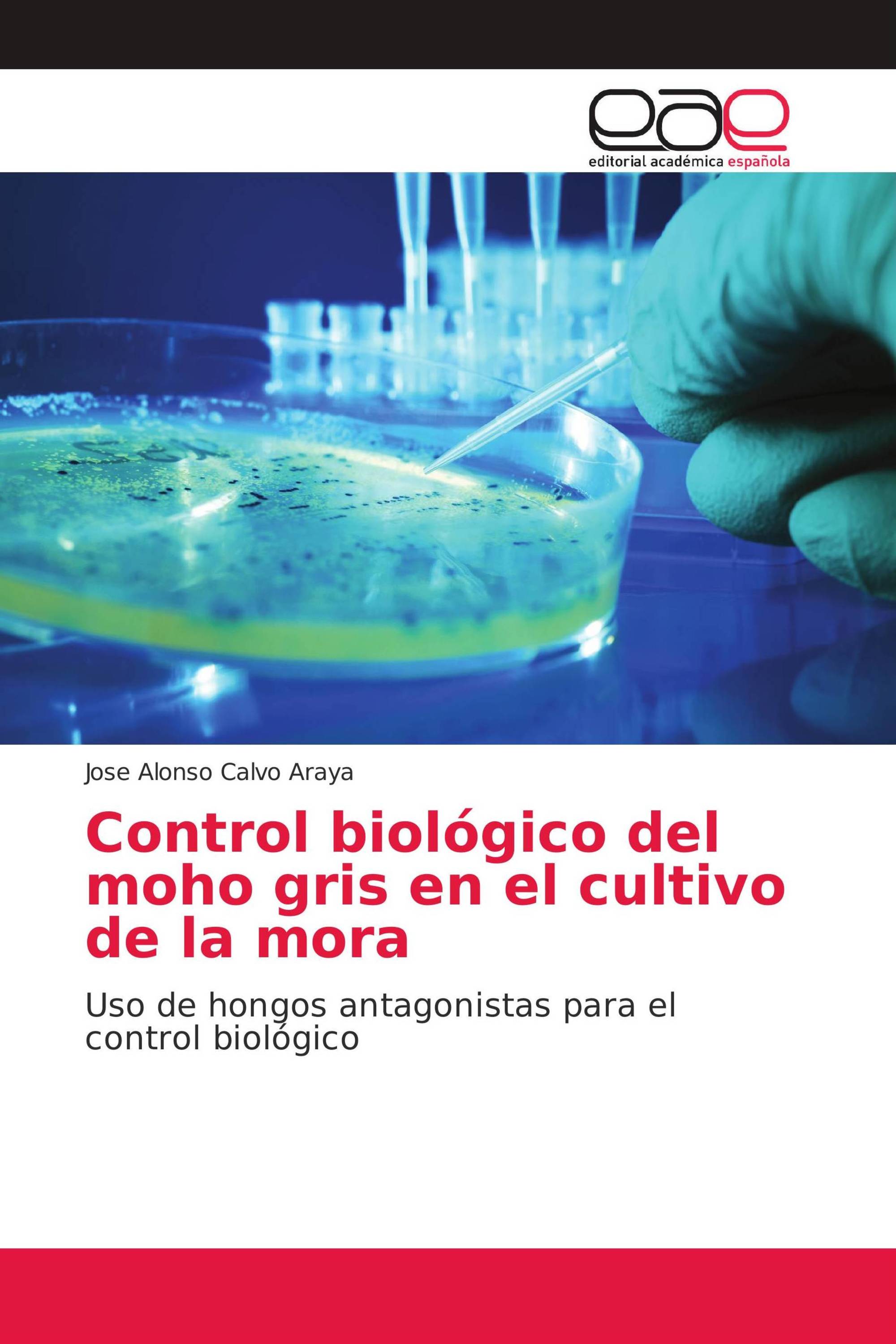 Control biológico del moho gris en el cultivo de la mora