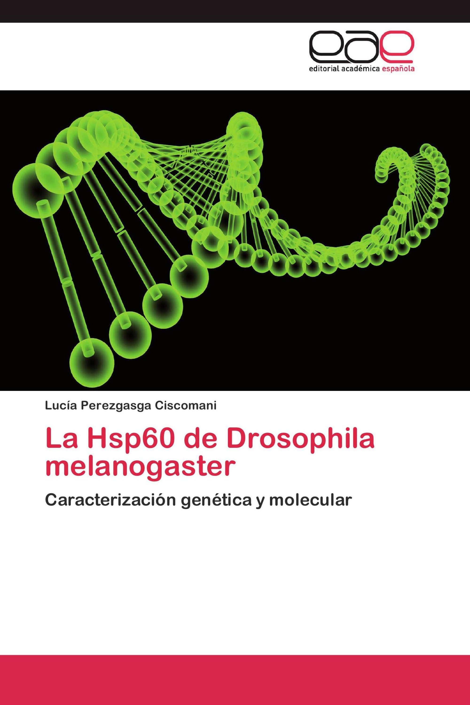 La Hsp60 de Drosophila melanogaster