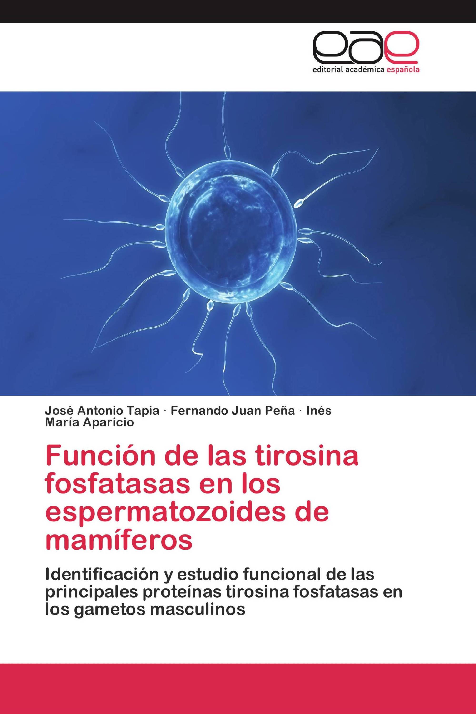 Función de las tirosina fosfatasas en los espermatozoides de mamíferos