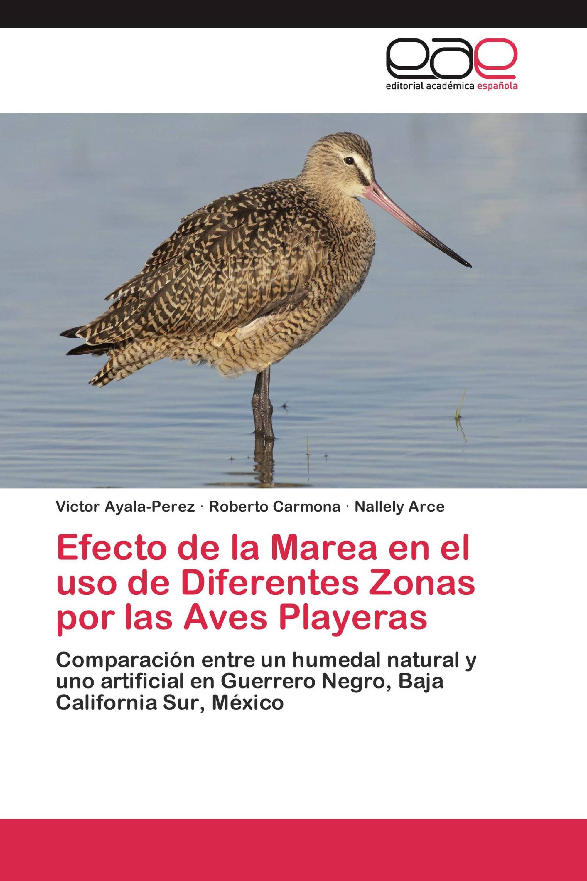 Efecto de la Marea en el uso de Diferentes Zonas por las Aves Playeras