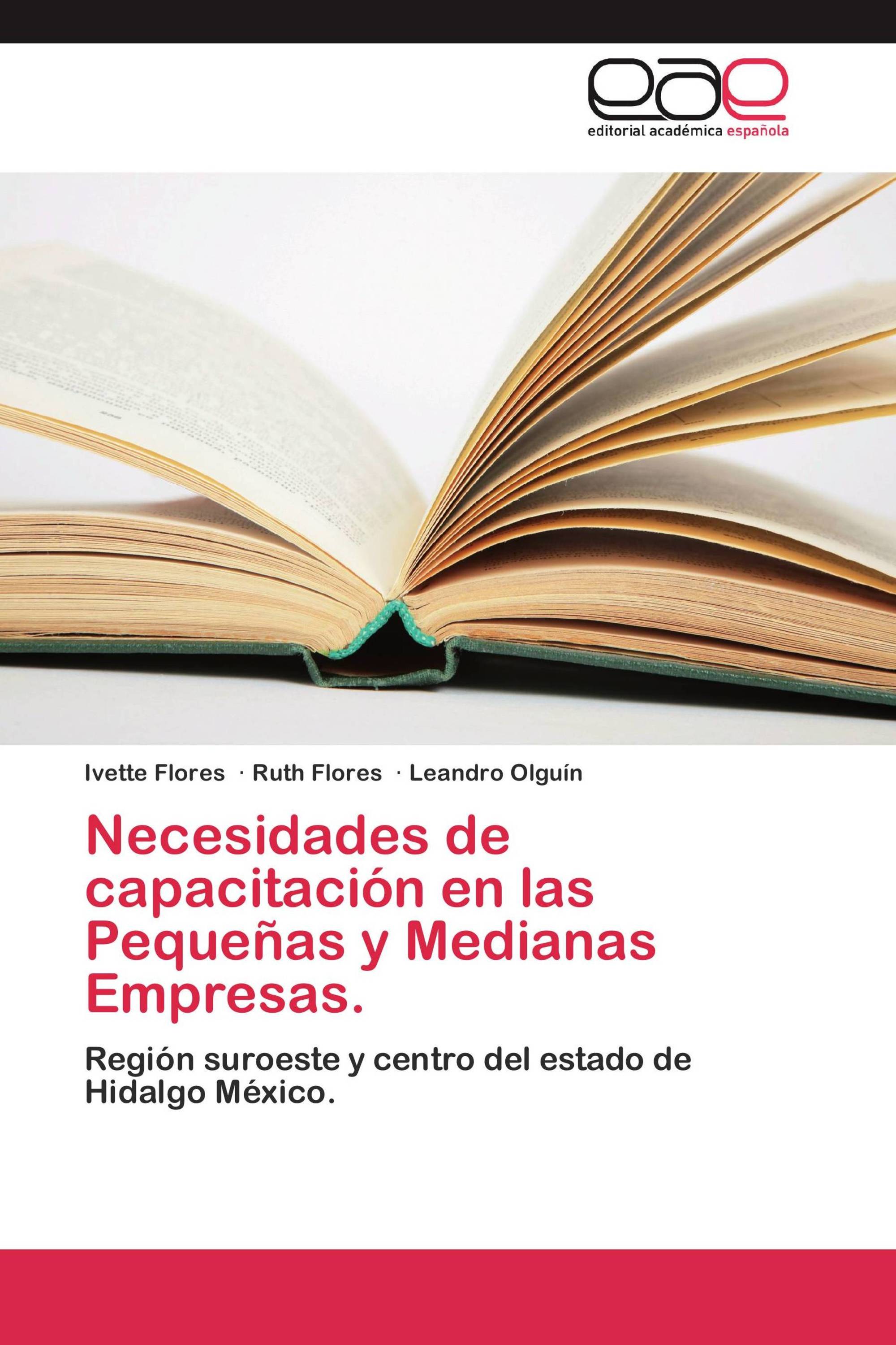 Necesidades de capacitación en las Pequeñas y Medianas Empresas.