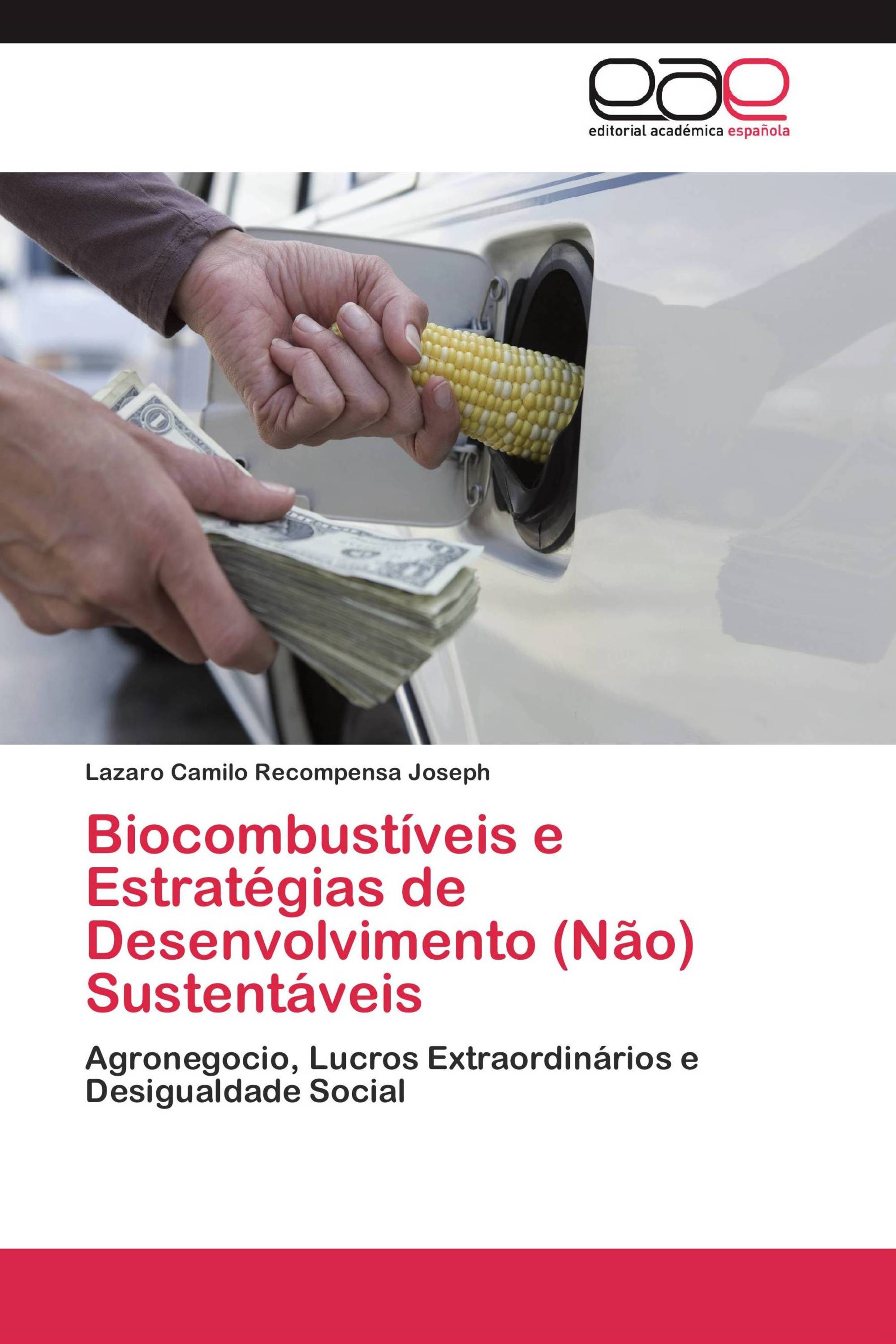 Biocombustíveis e Estratégias de Desenvolvimento (Não) Sustentáveis