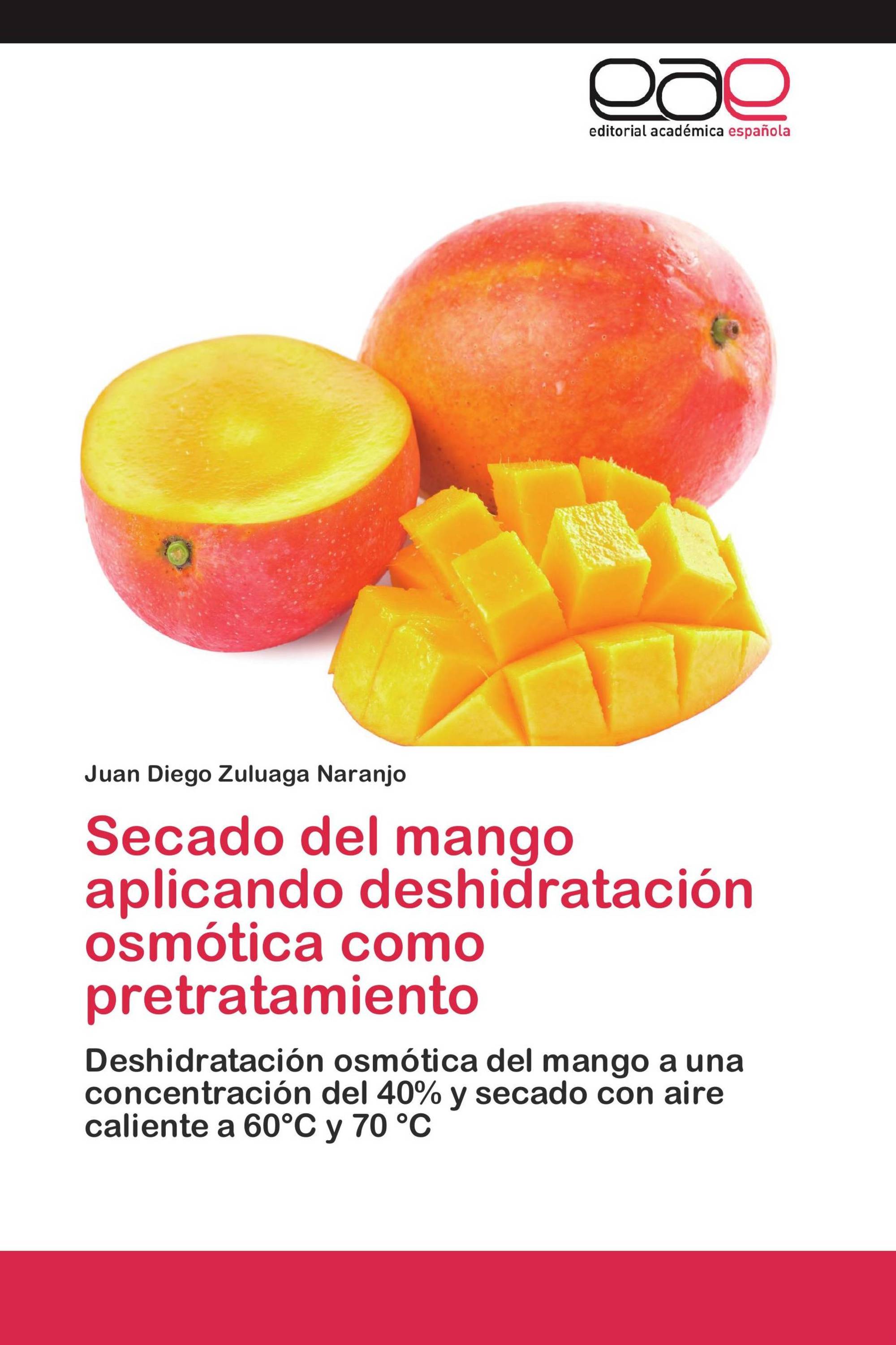 Secado del mango aplicando deshidratación osmótica como pretratamiento