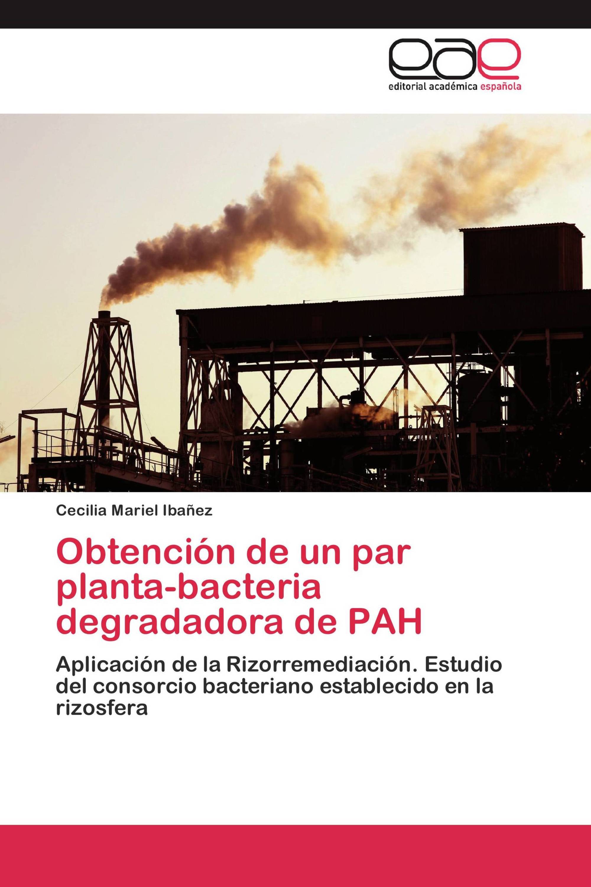 Obtención de un par planta-bacteria degradadora de PAH