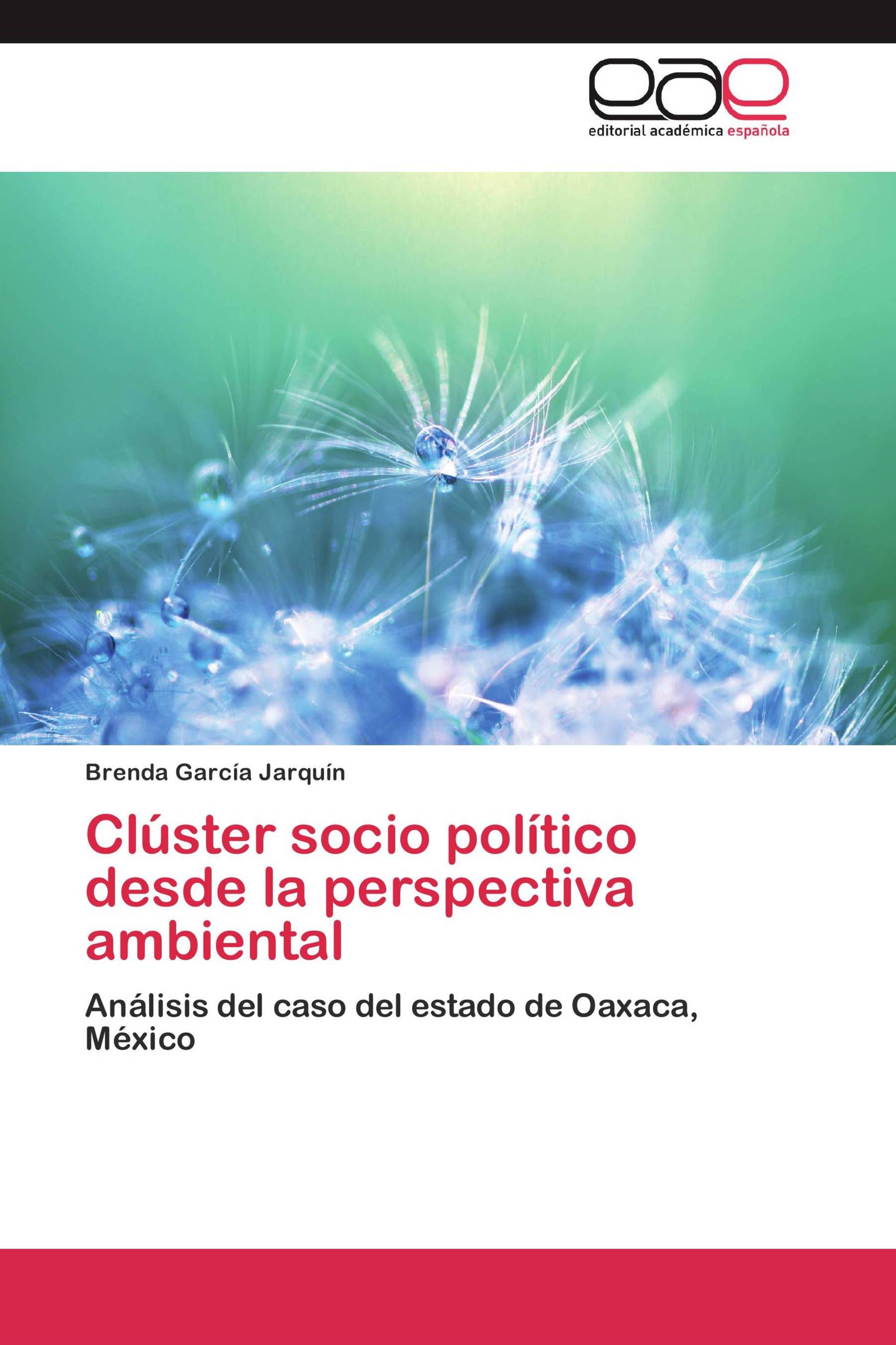 Clúster socio político desde la perspectiva ambiental