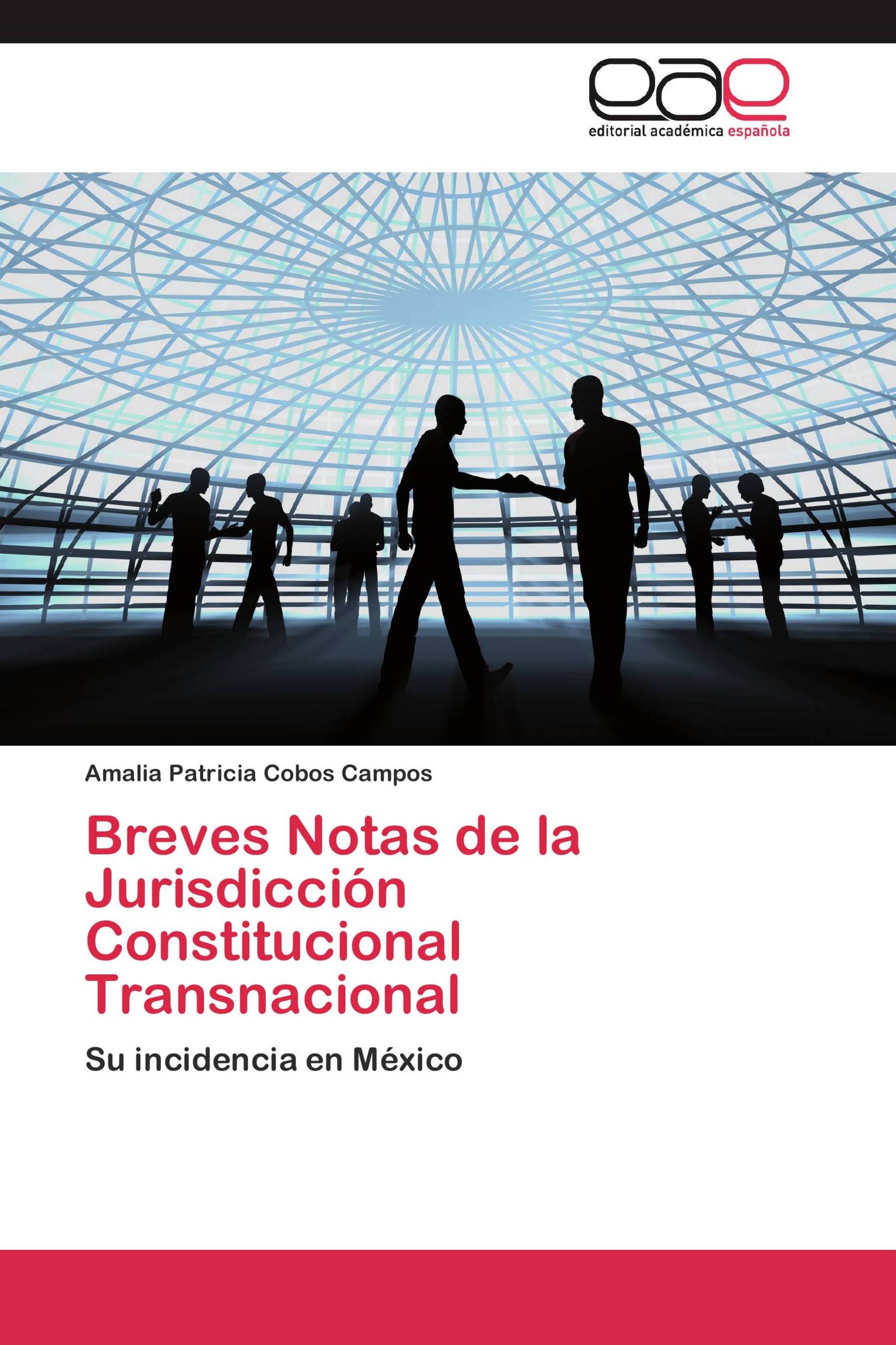 Breves Notas de la Jurisdicción Constitucional Transnacional