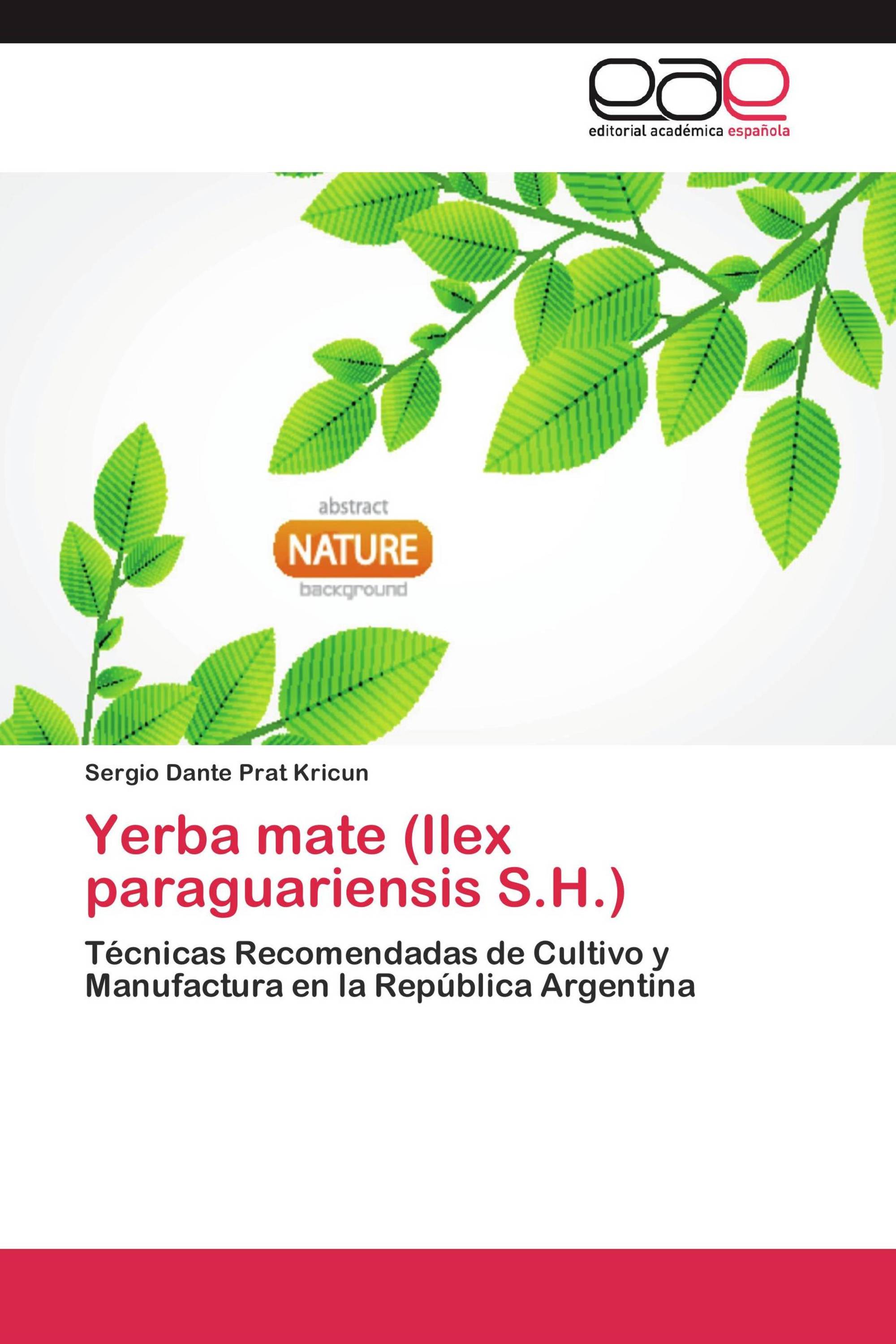 Yerba mate (Ilex paraguariensis S.H.)