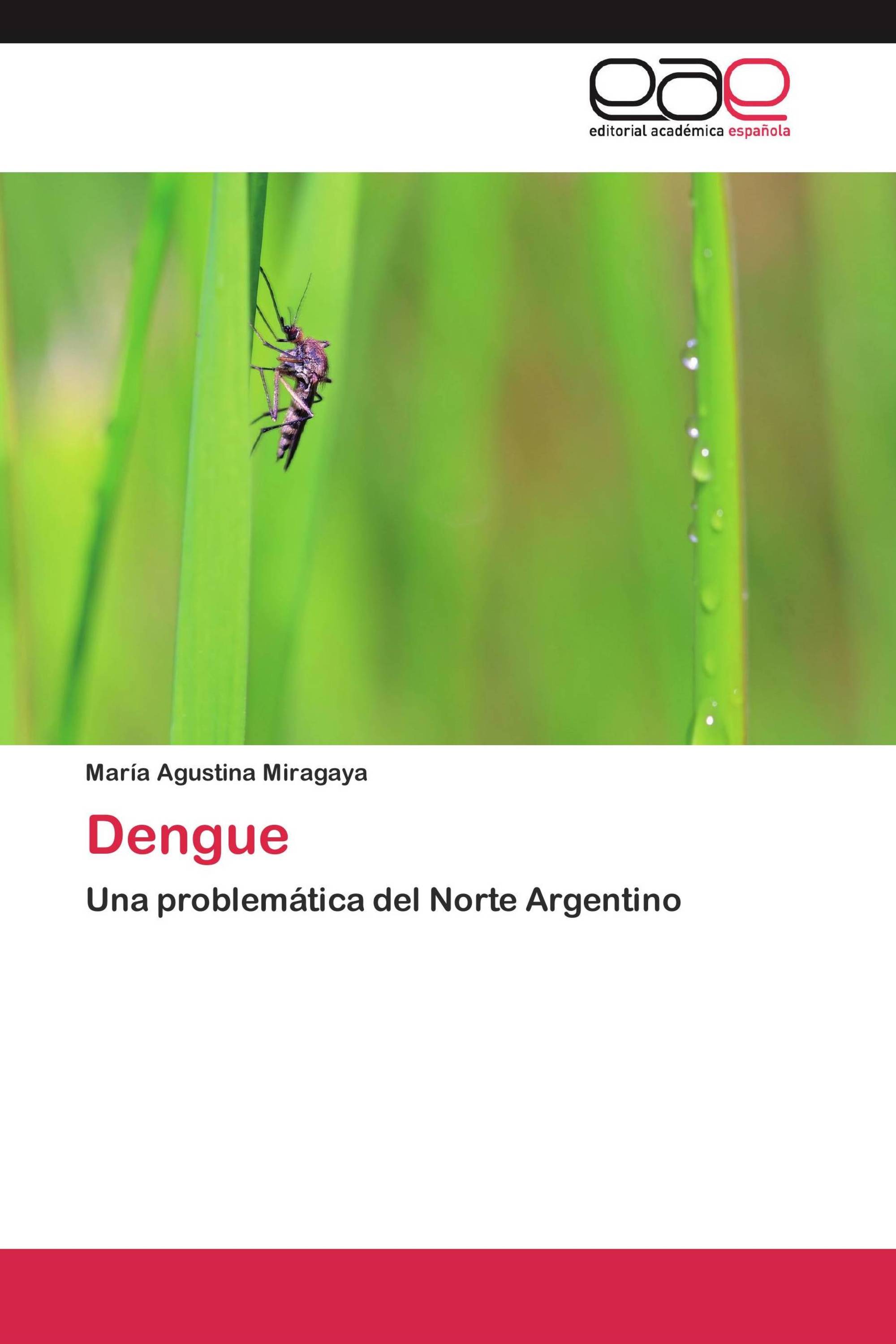 Dengue