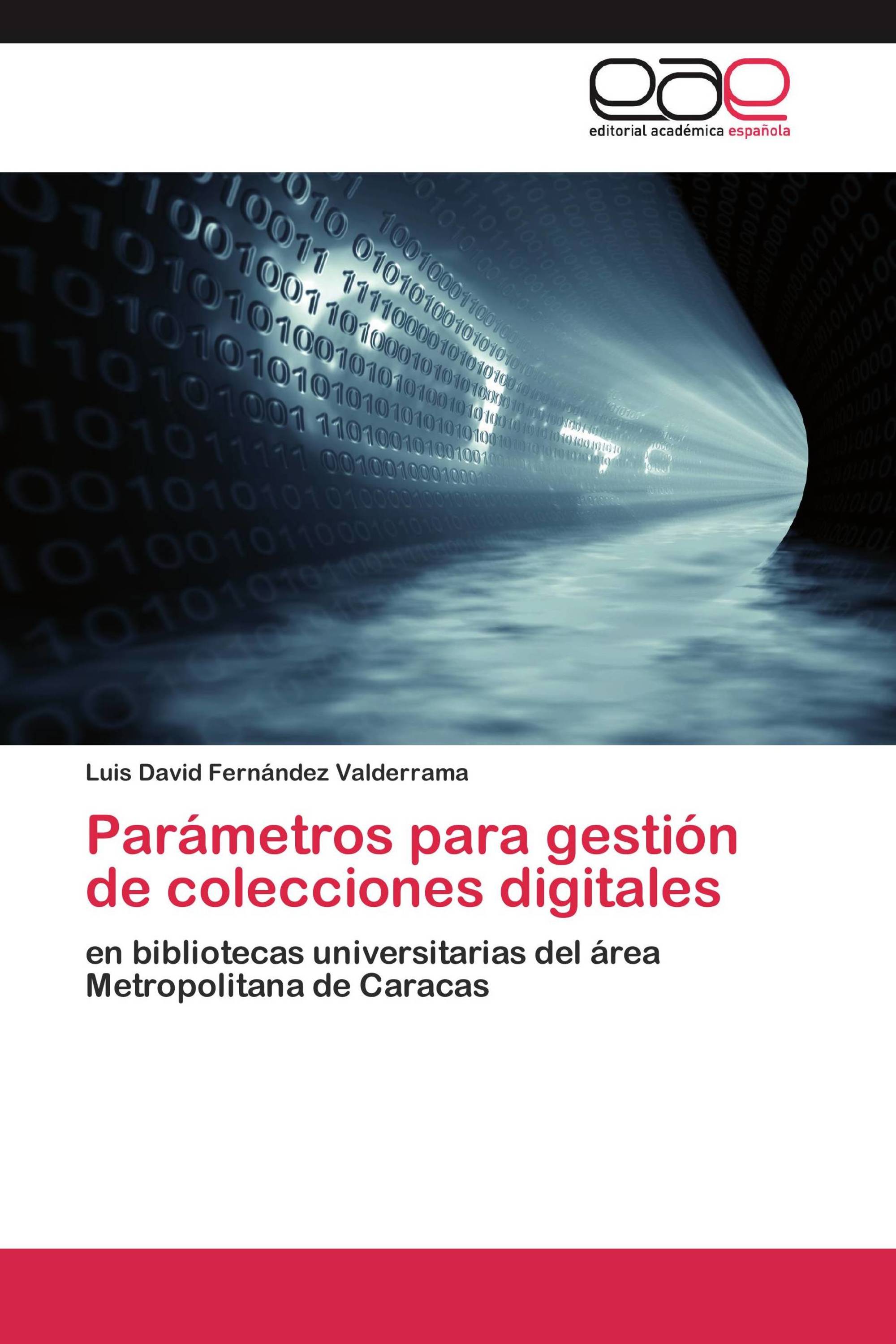 Parámetros para gestión de colecciones digitales