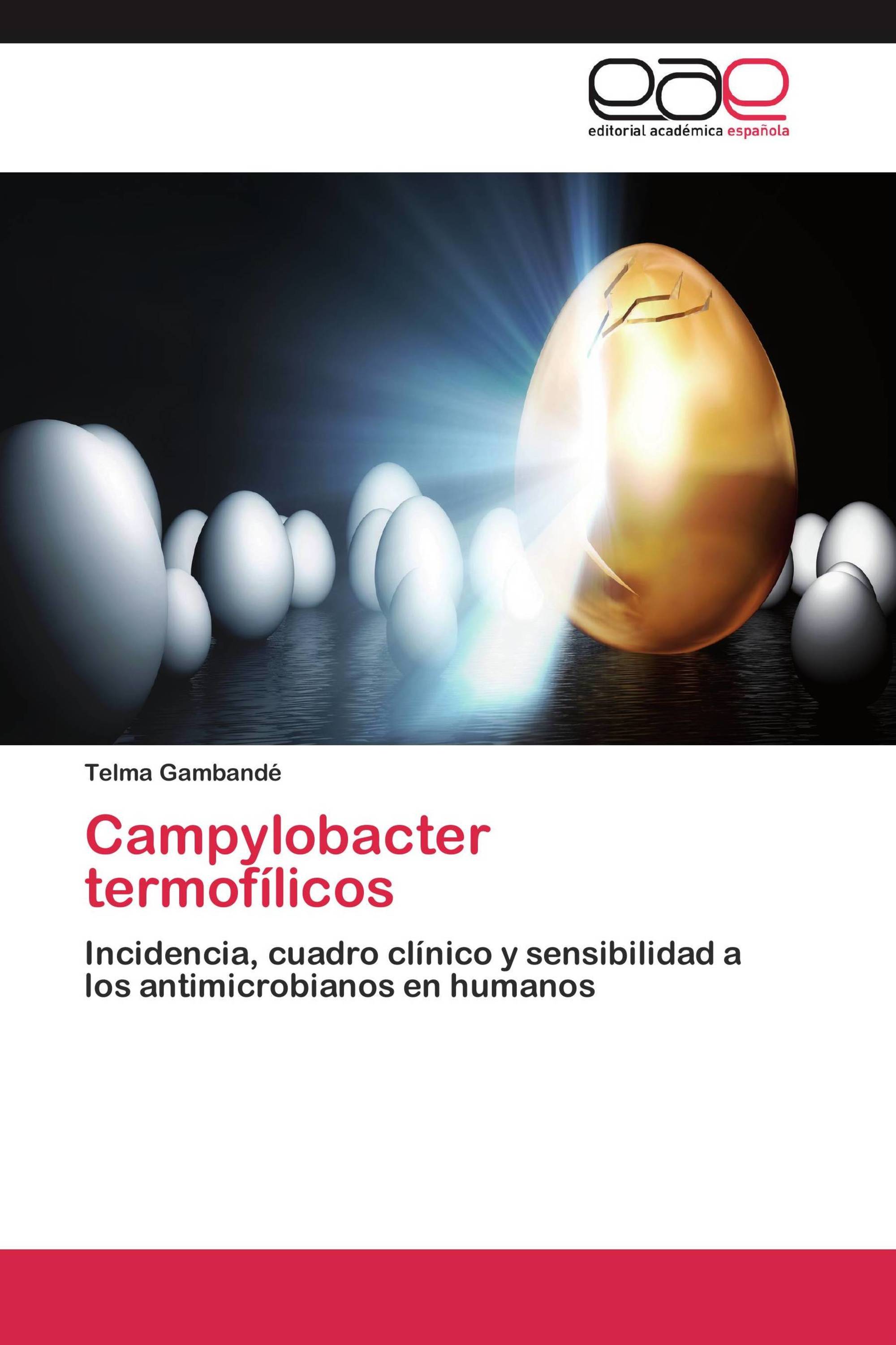 Campylobacter termofílicos