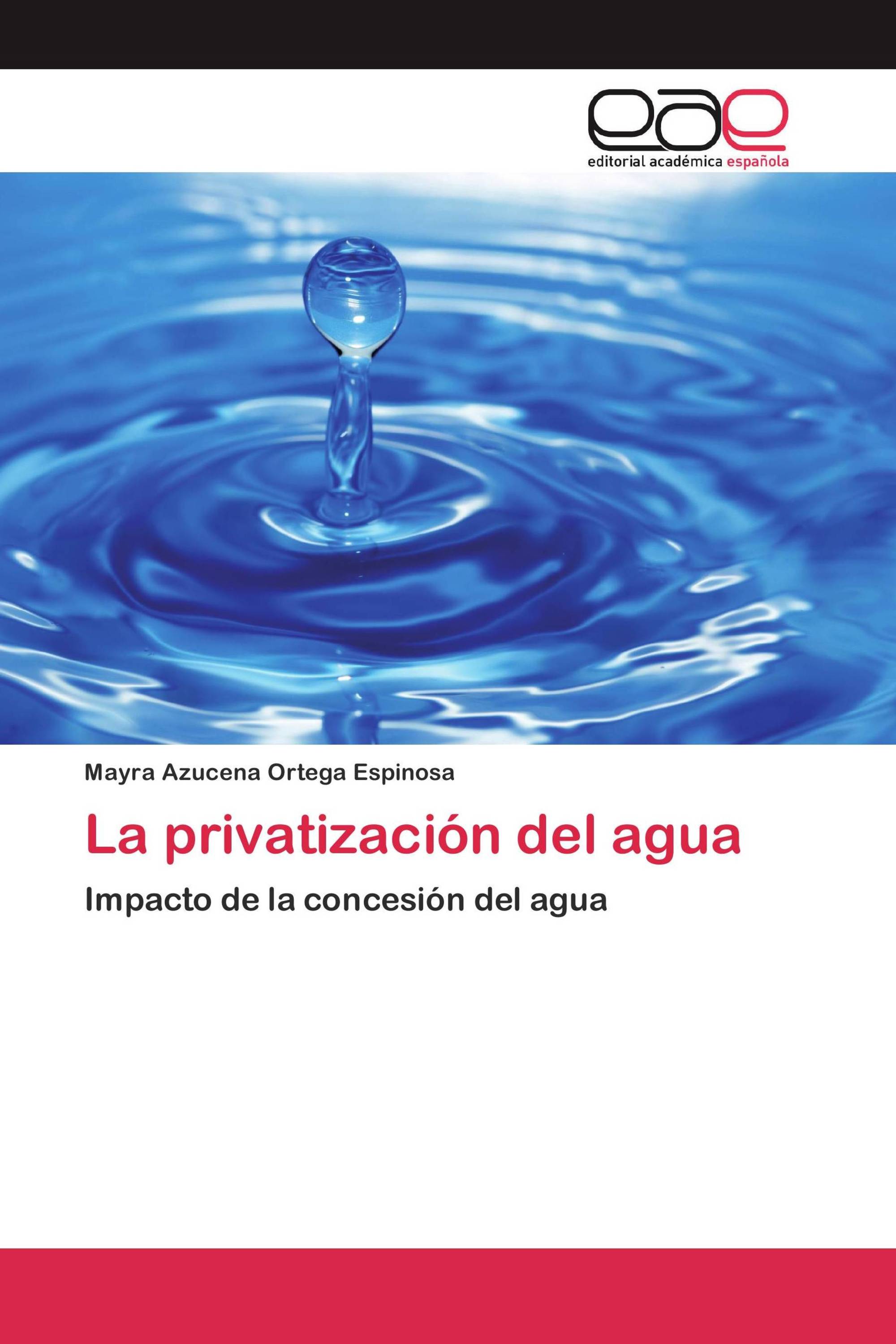 La privatización del agua