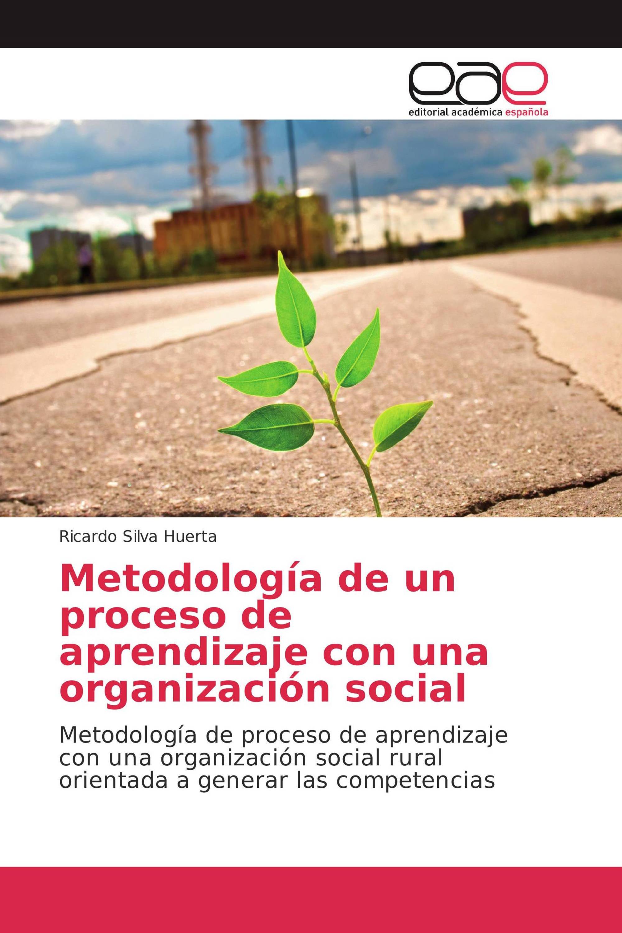 Metodología de un proceso de aprendizaje con una organización social