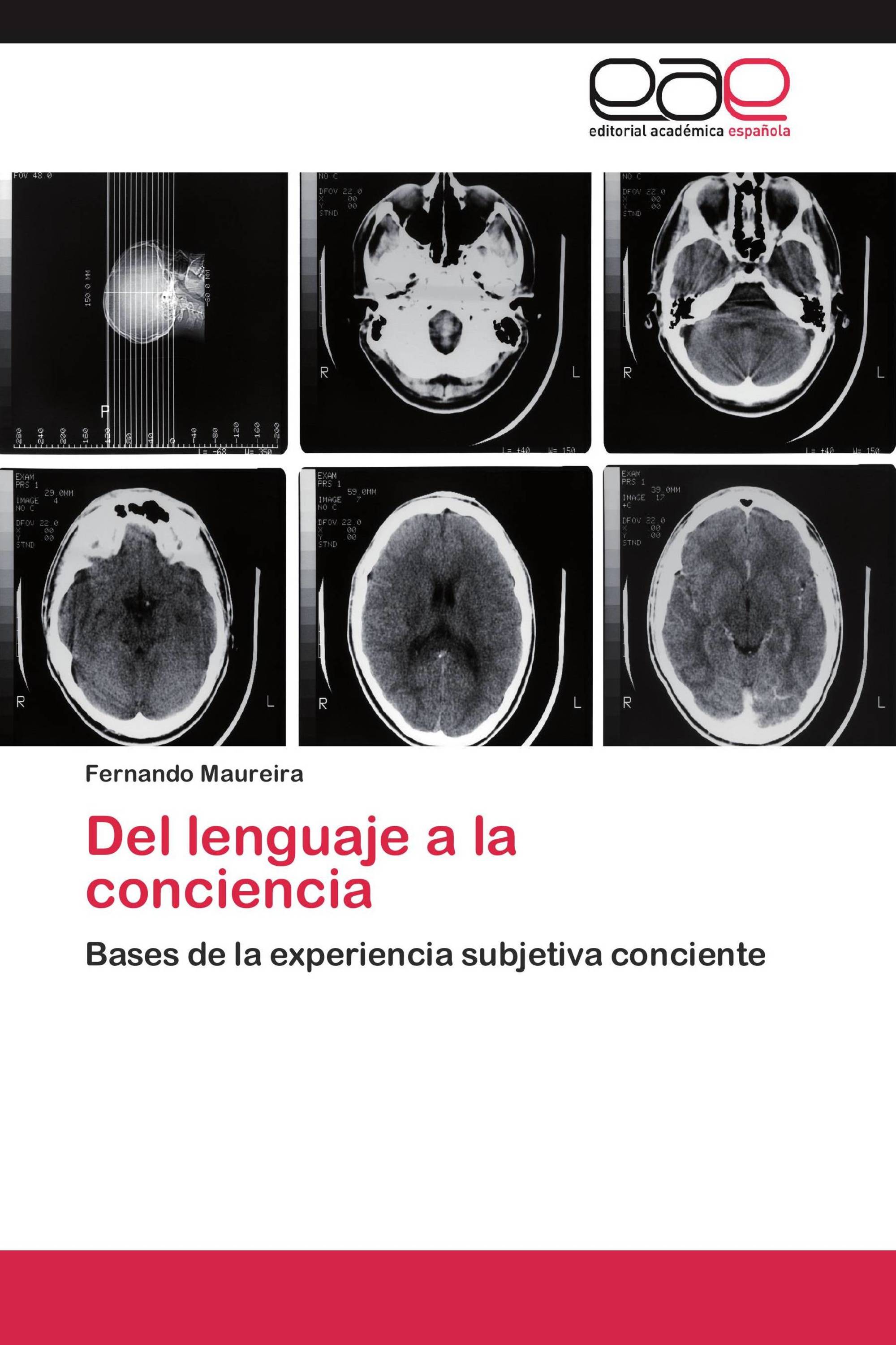 Del lenguaje a la conciencia