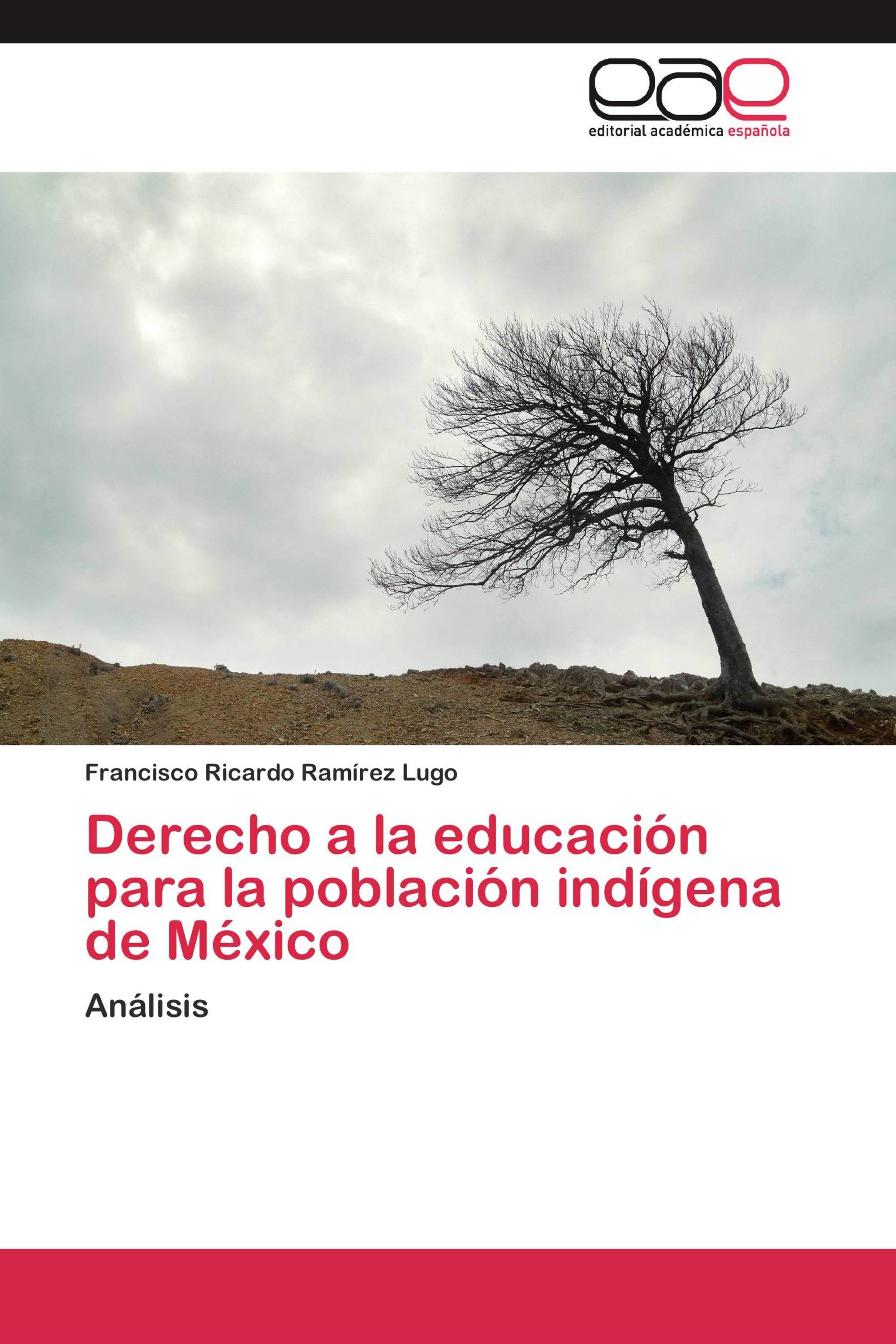 Derecho a la educación para la población indígena de México