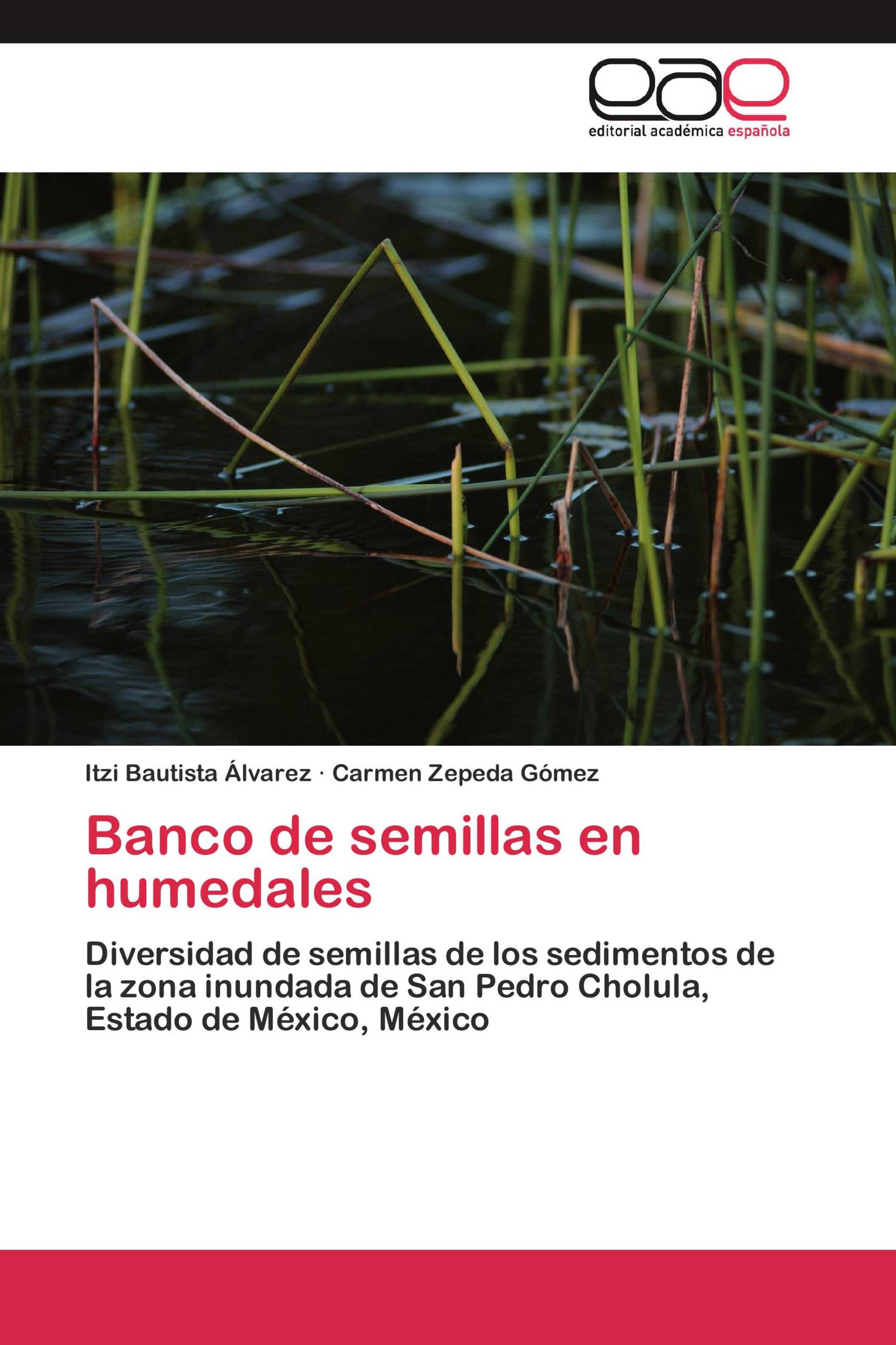 Banco de semillas en humedales