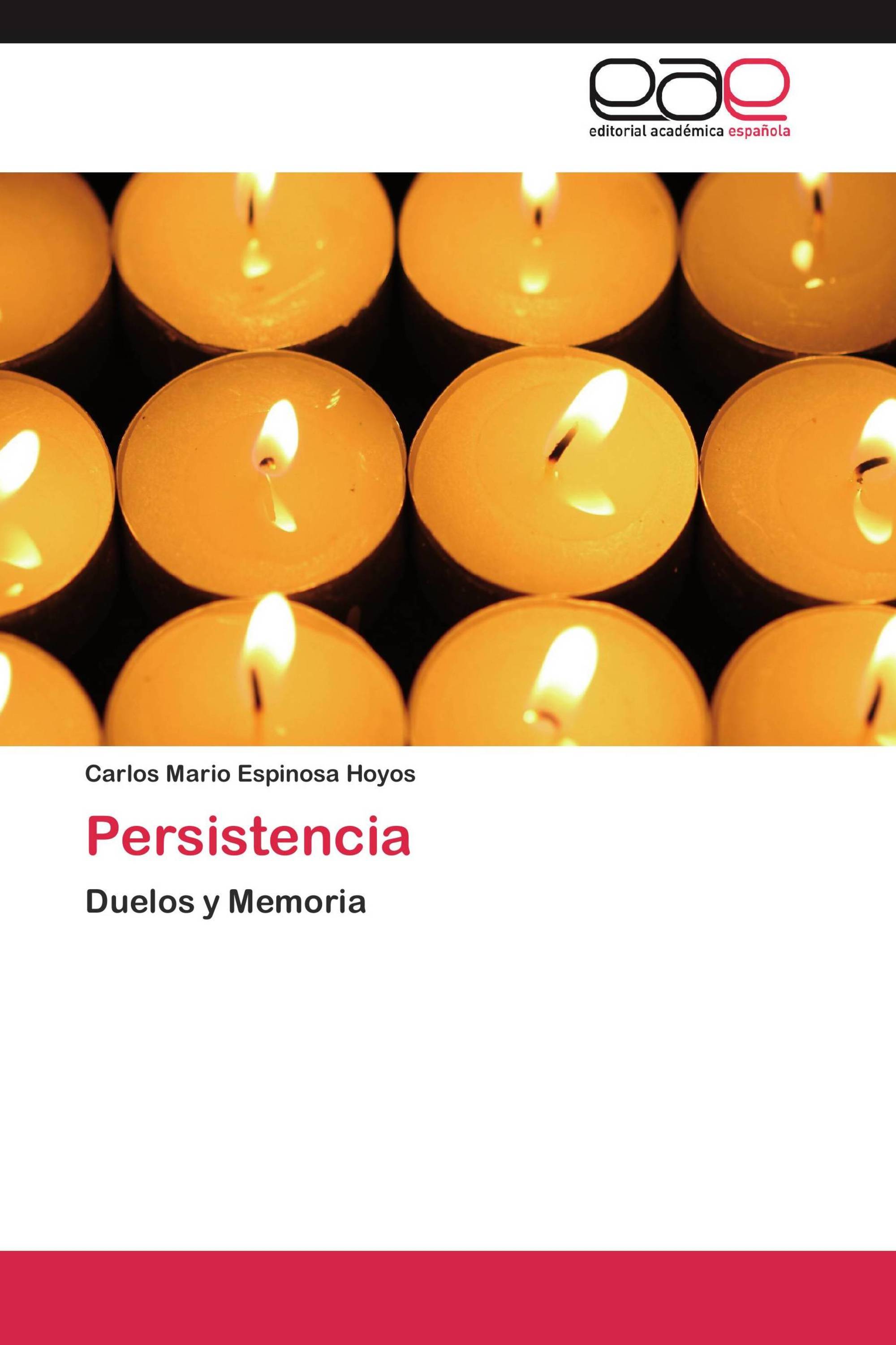 Persistencia