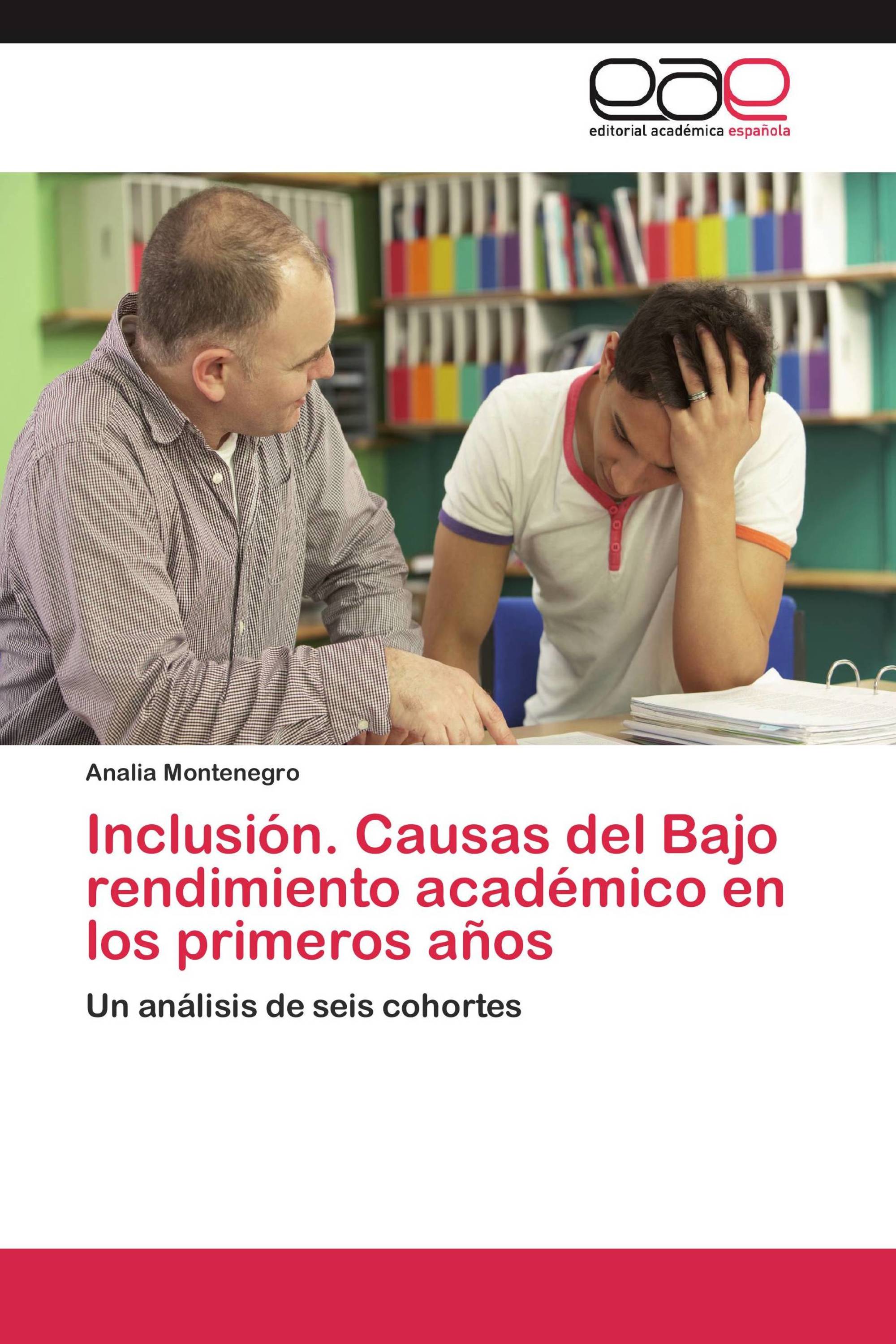 Inclusión. Causas del Bajo rendimiento académico en los primeros años