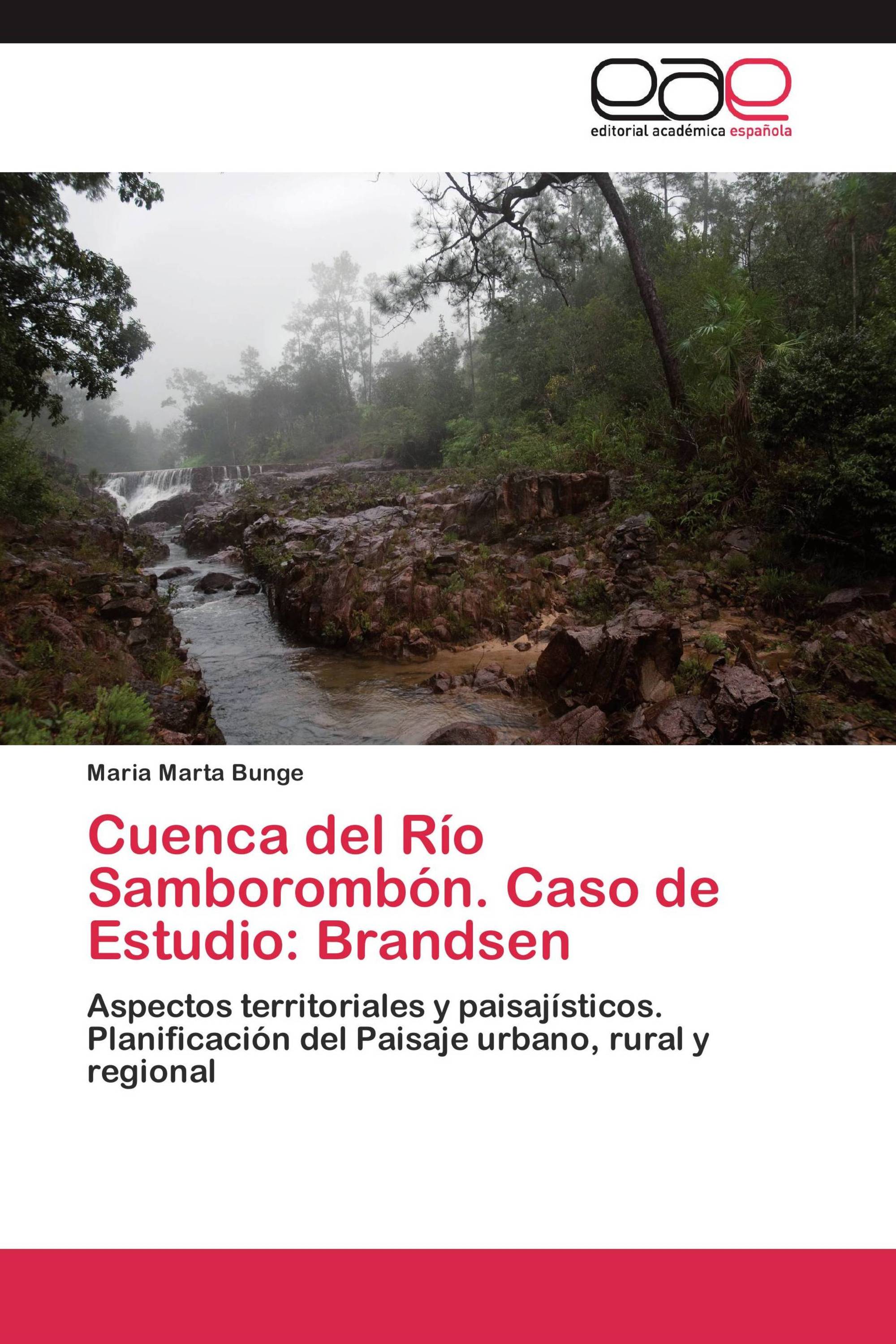 Cuenca del Río Samborombón. Caso de Estudio: Brandsen