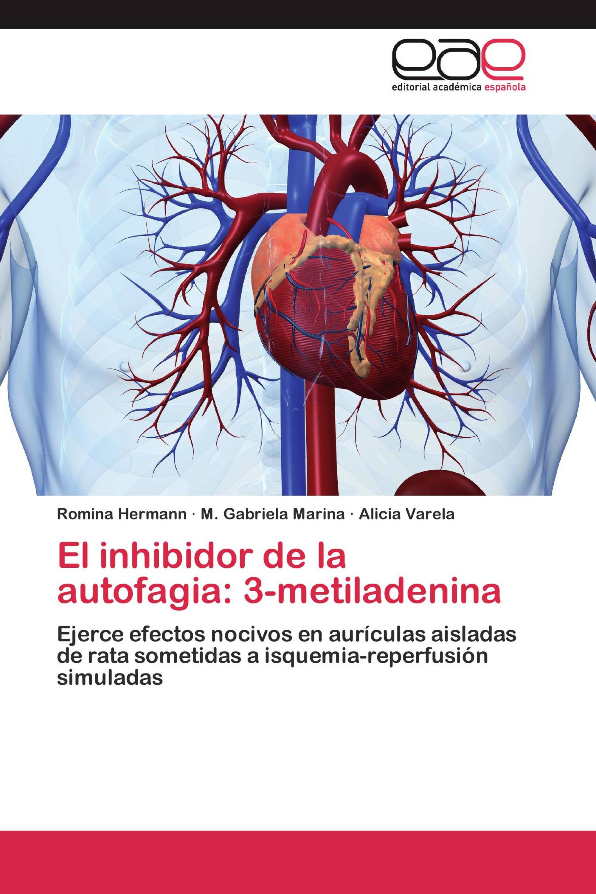 El inhibidor de la autofagia: 3-metiladenina