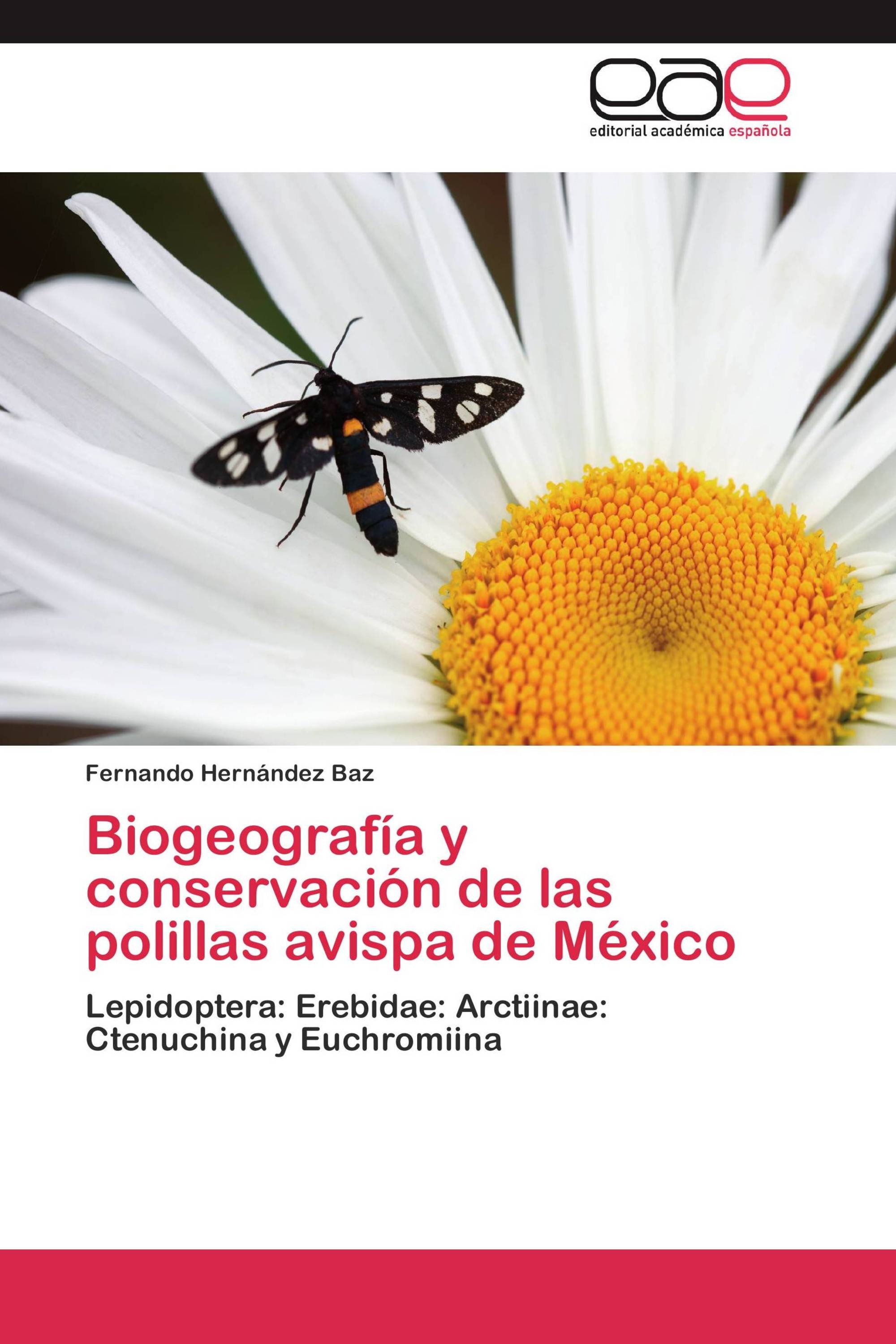 Biogeografía y conservación de las polillas avispa de México