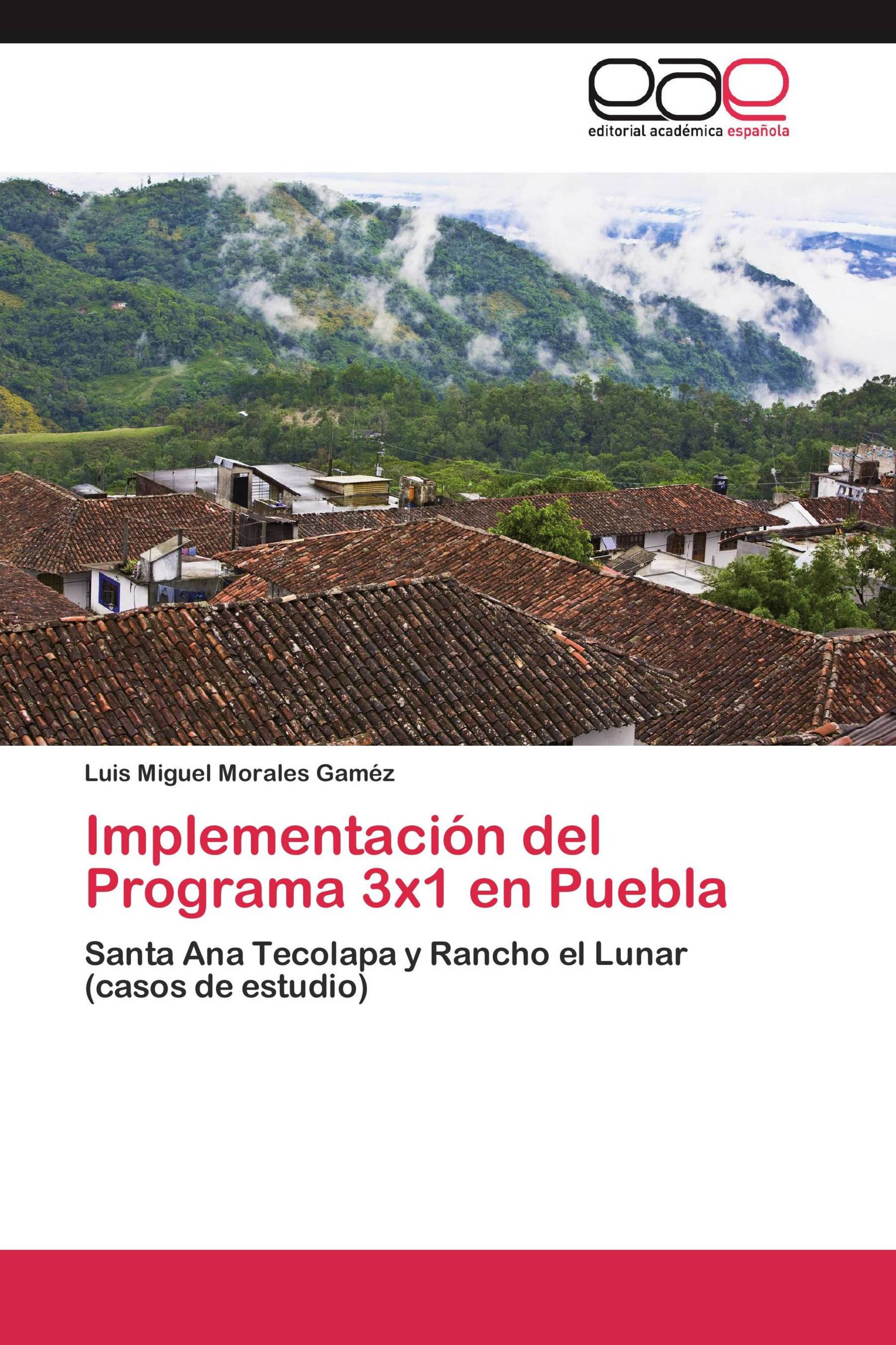 Implementación del Programa 3x1 en Puebla