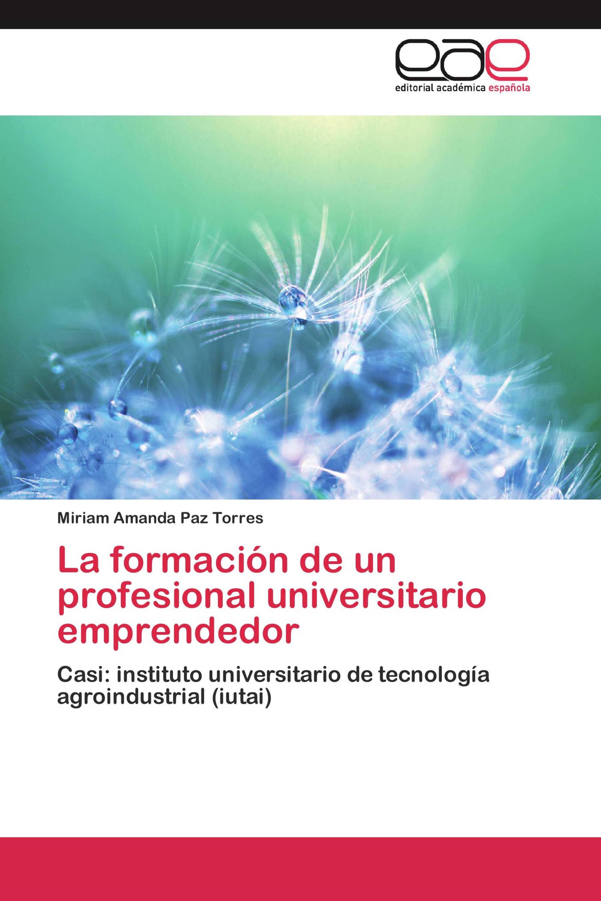 La formación de un profesional universitario emprendedor