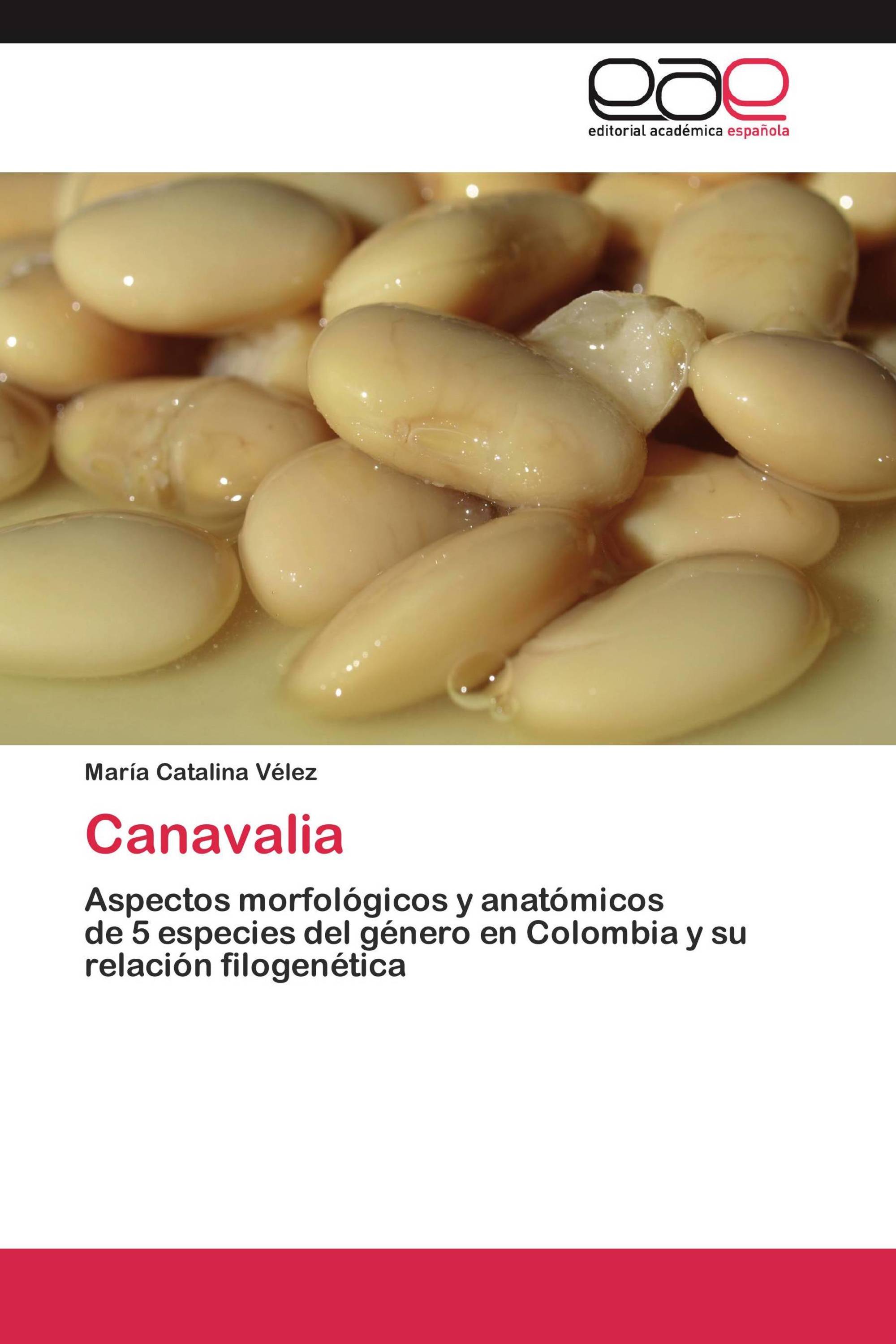 Canavalia