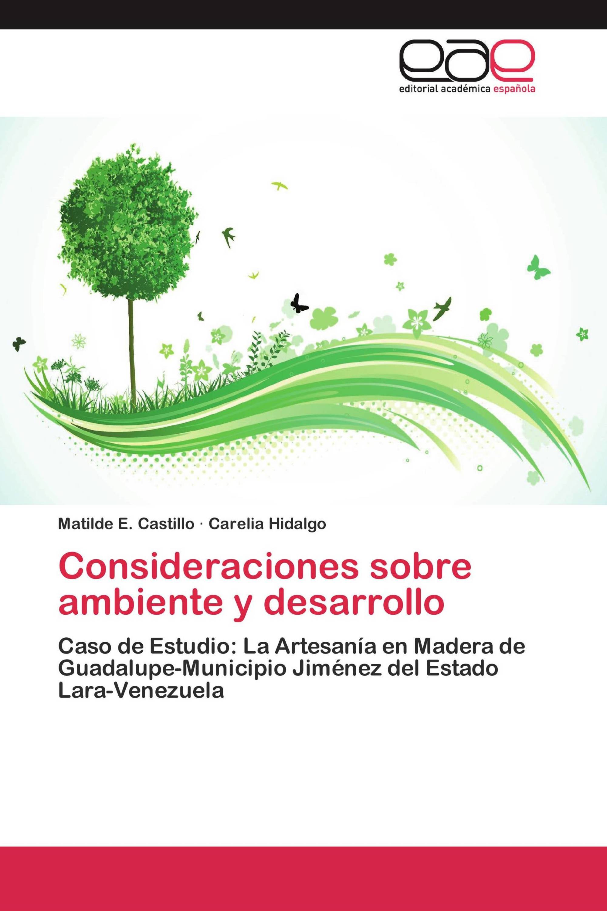 Consideraciones sobre ambiente y desarrollo