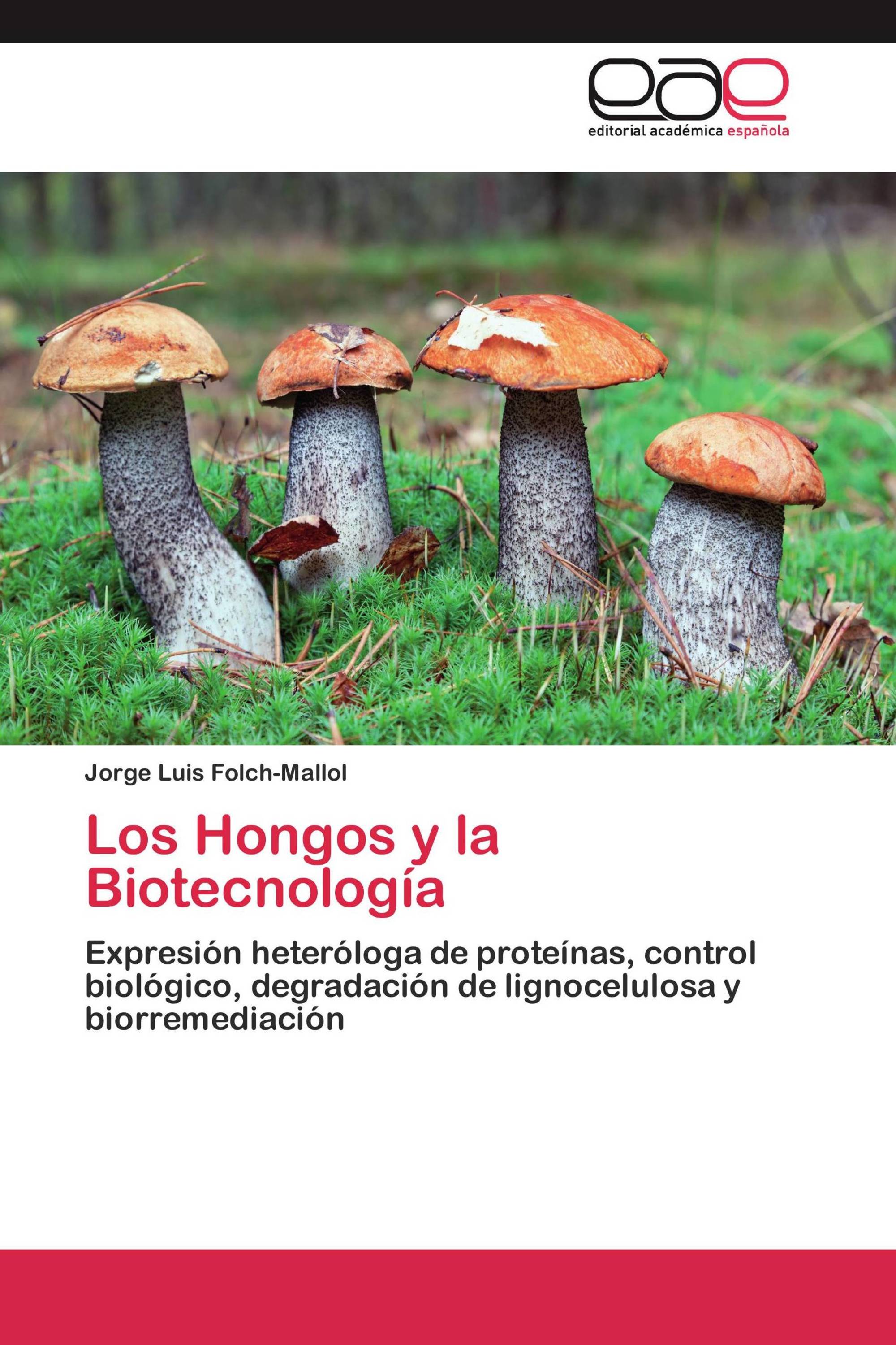 Los Hongos y la Biotecnología