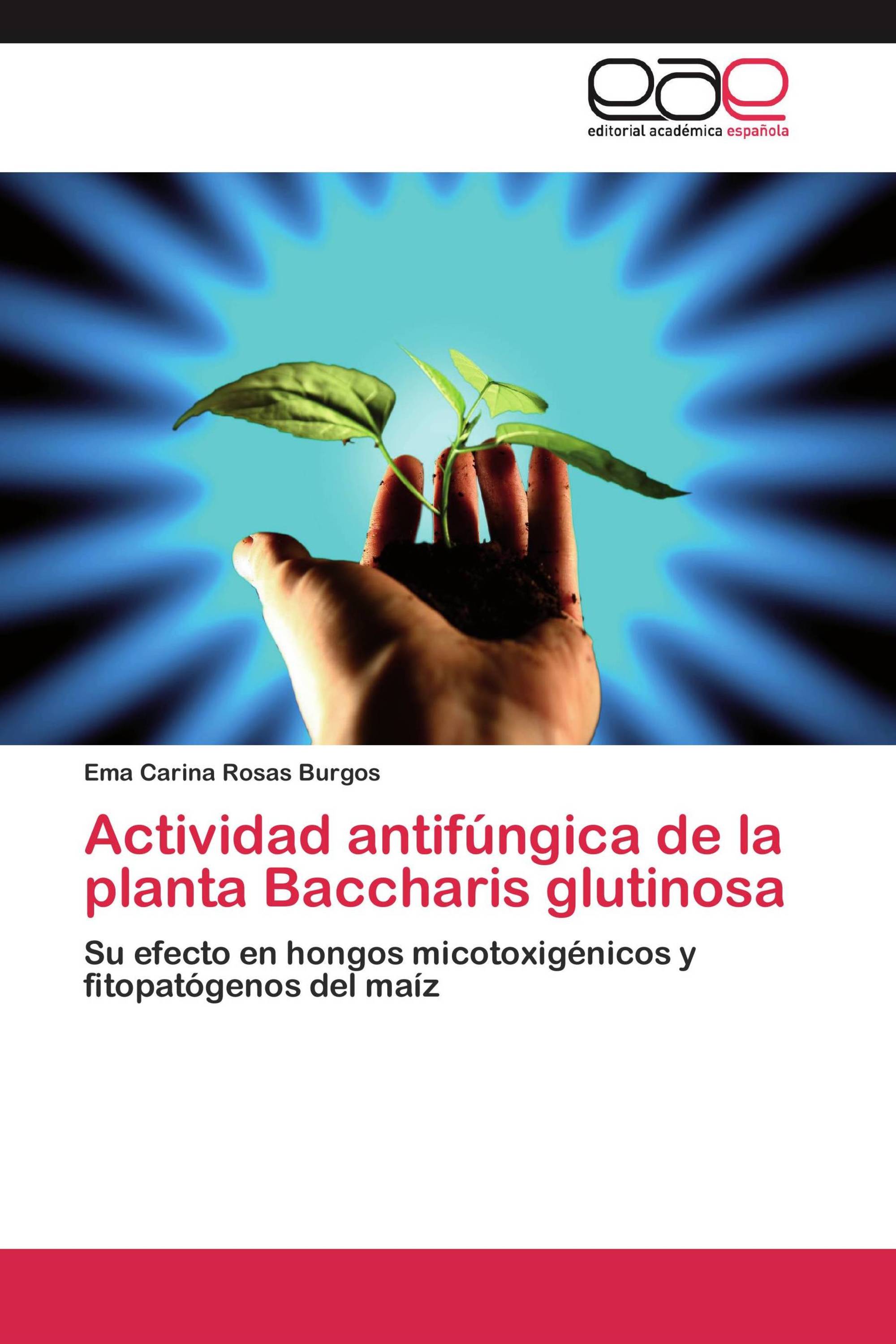 Actividad antifúngica de la planta Baccharis glutinosa