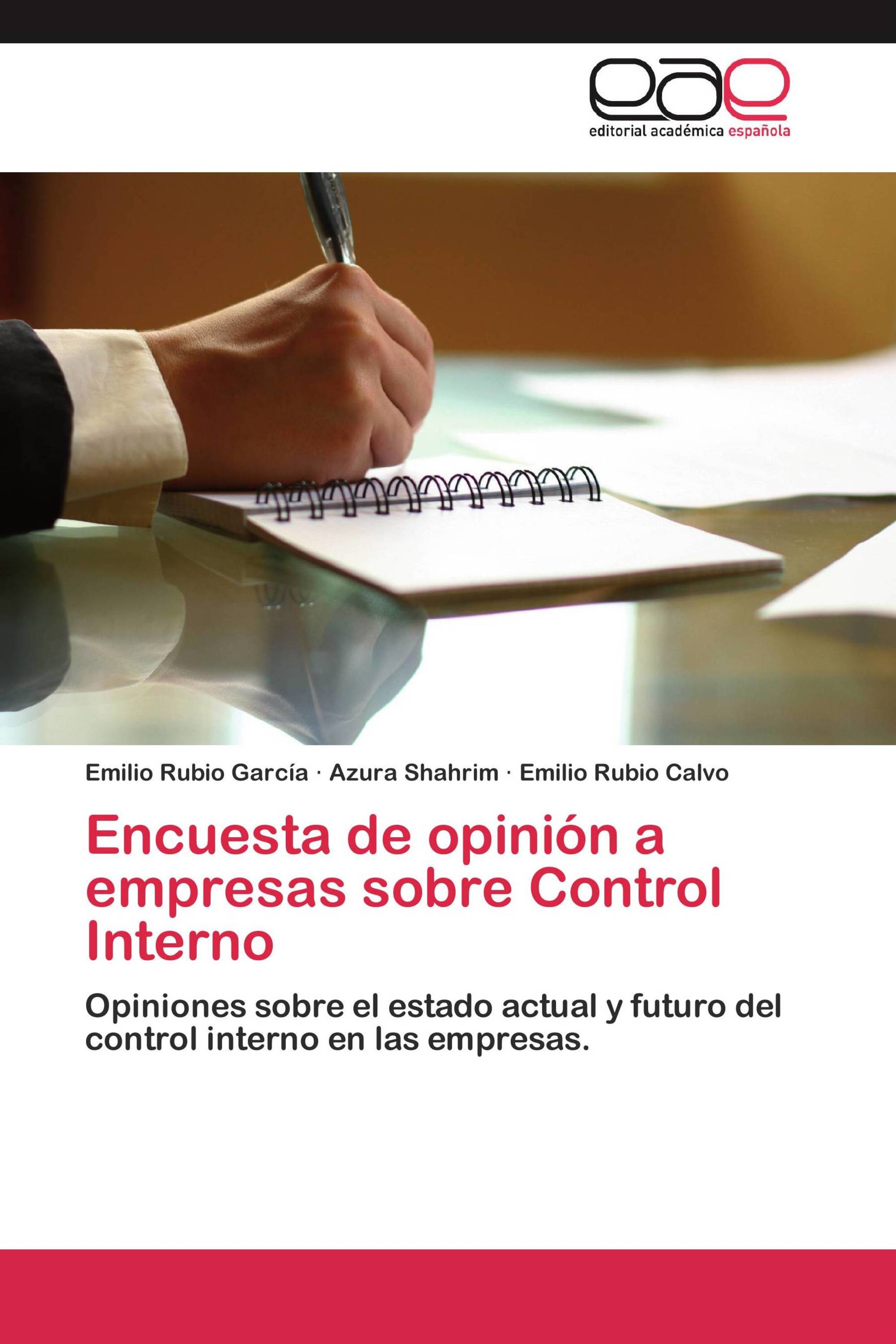 Encuesta de opinión a empresas sobre Control Interno