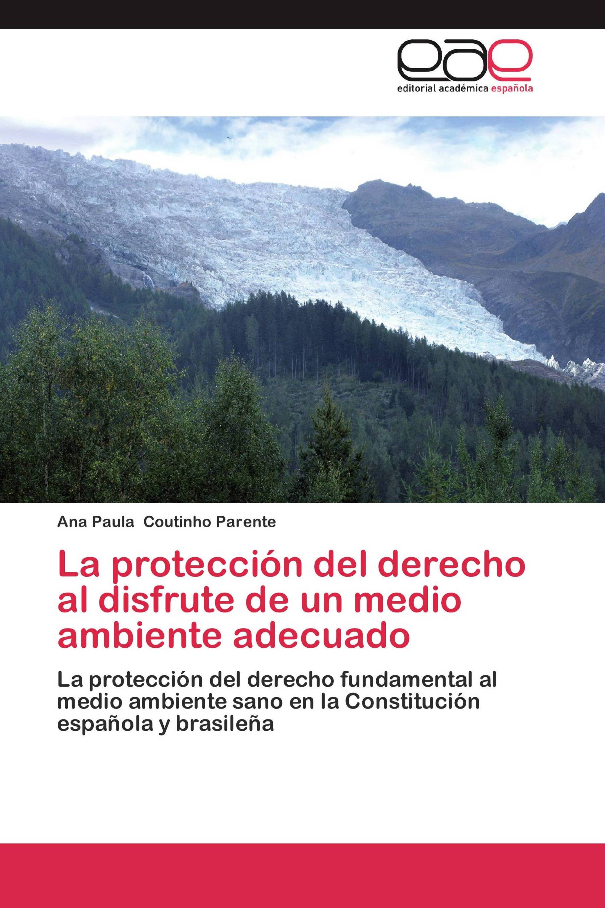 La protección del derecho al disfrute de un medio ambiente adecuado