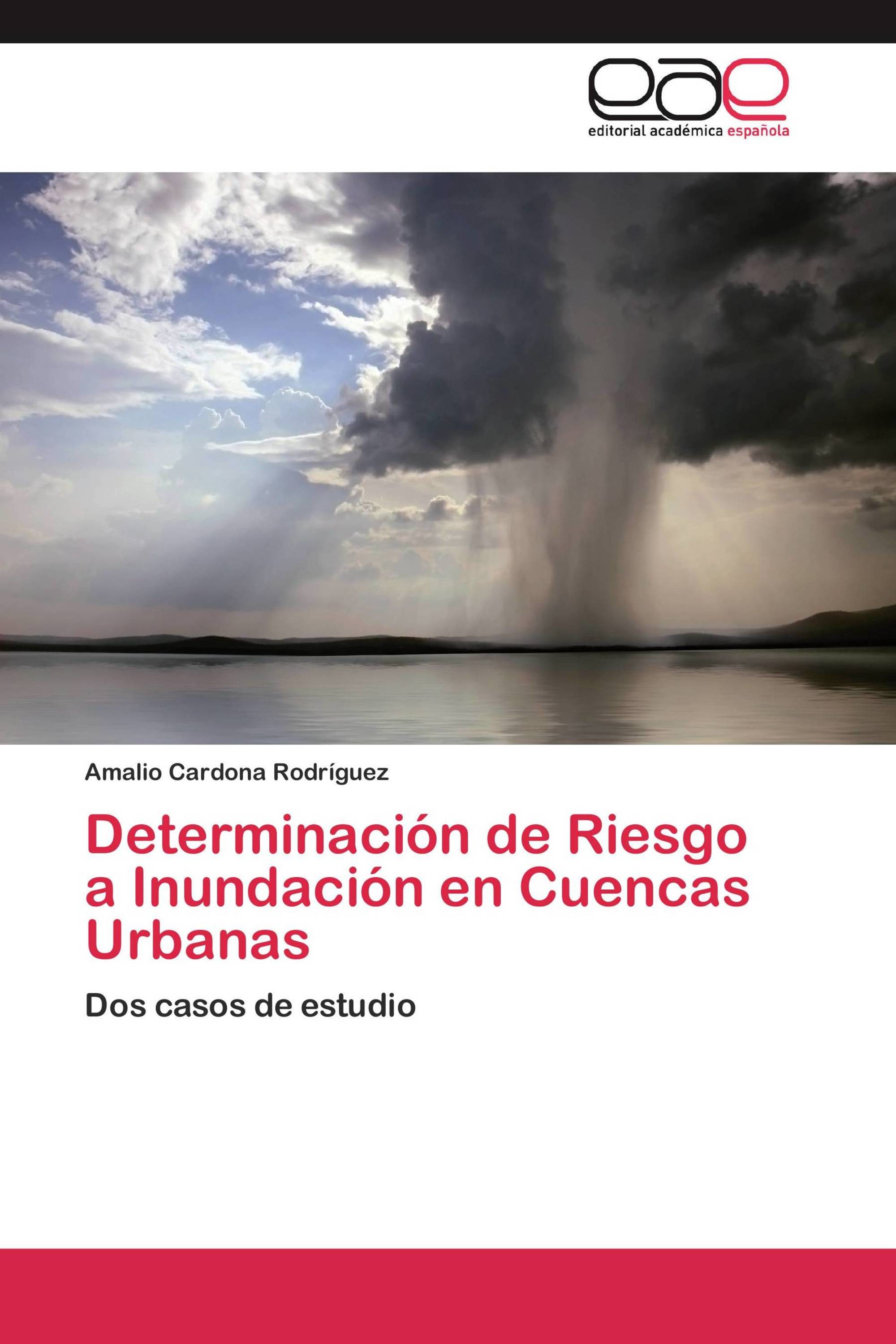 Determinación de Riesgo a Inundación en Cuencas Urbanas