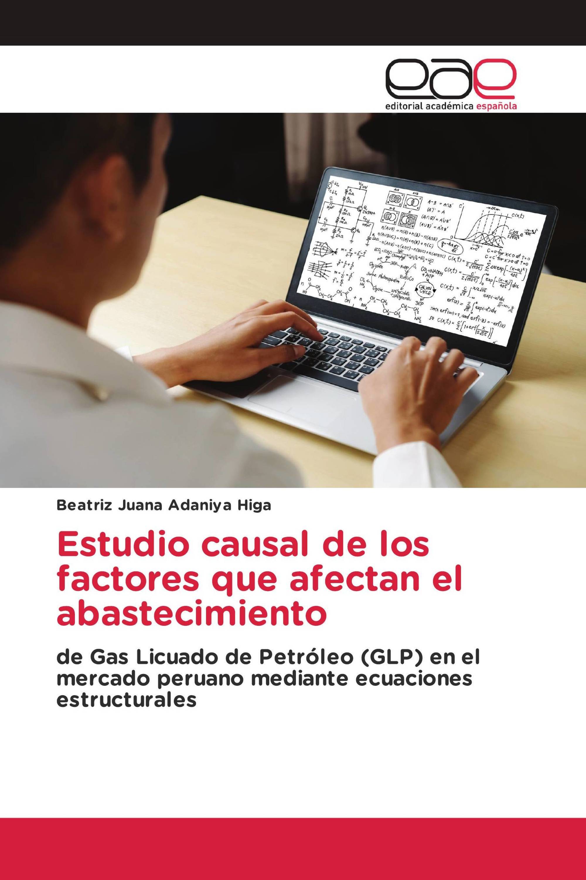 Estudio causal de los factores que afectan el abastecimiento