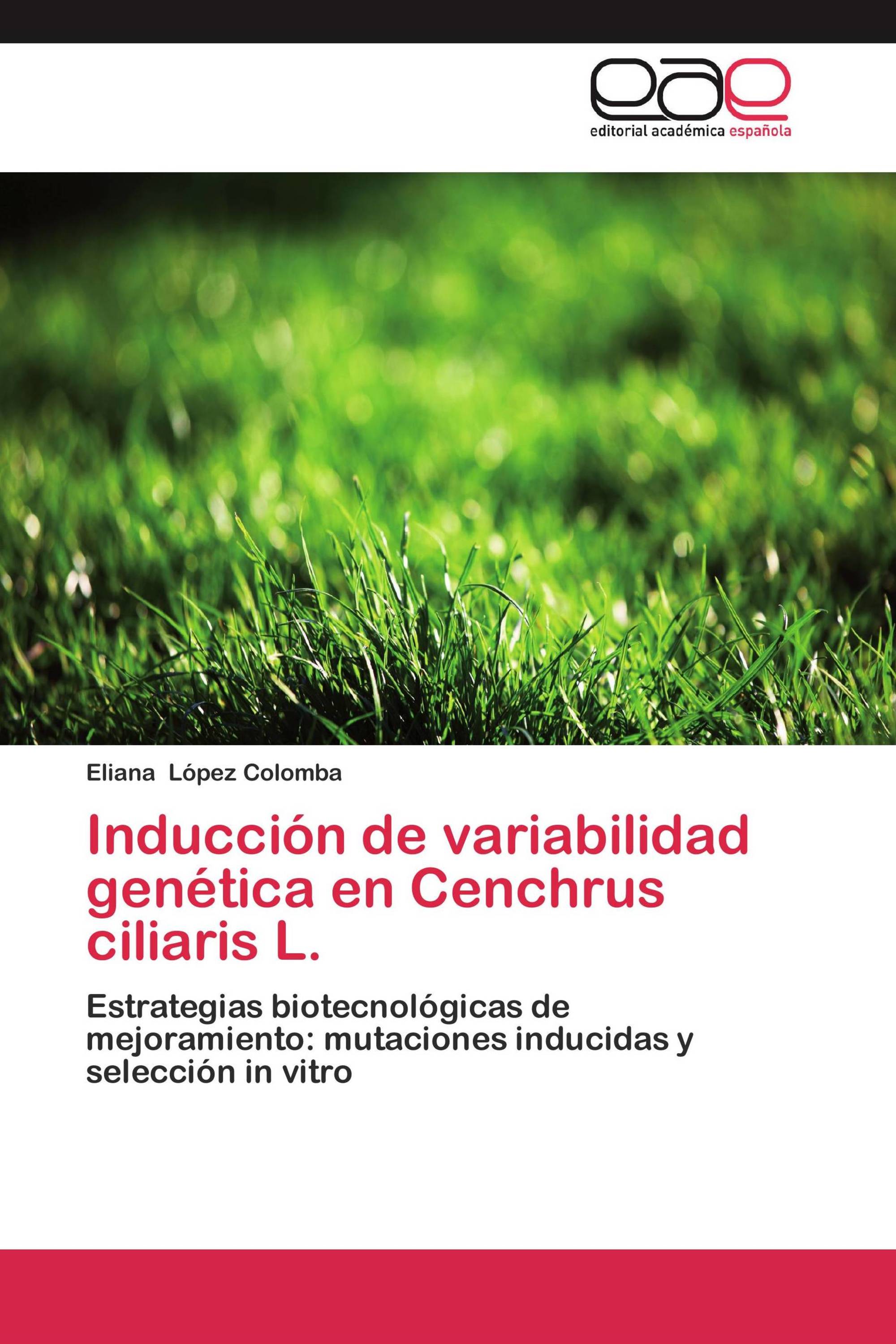 Inducción de variabilidad genética en Cenchrus ciliaris L.